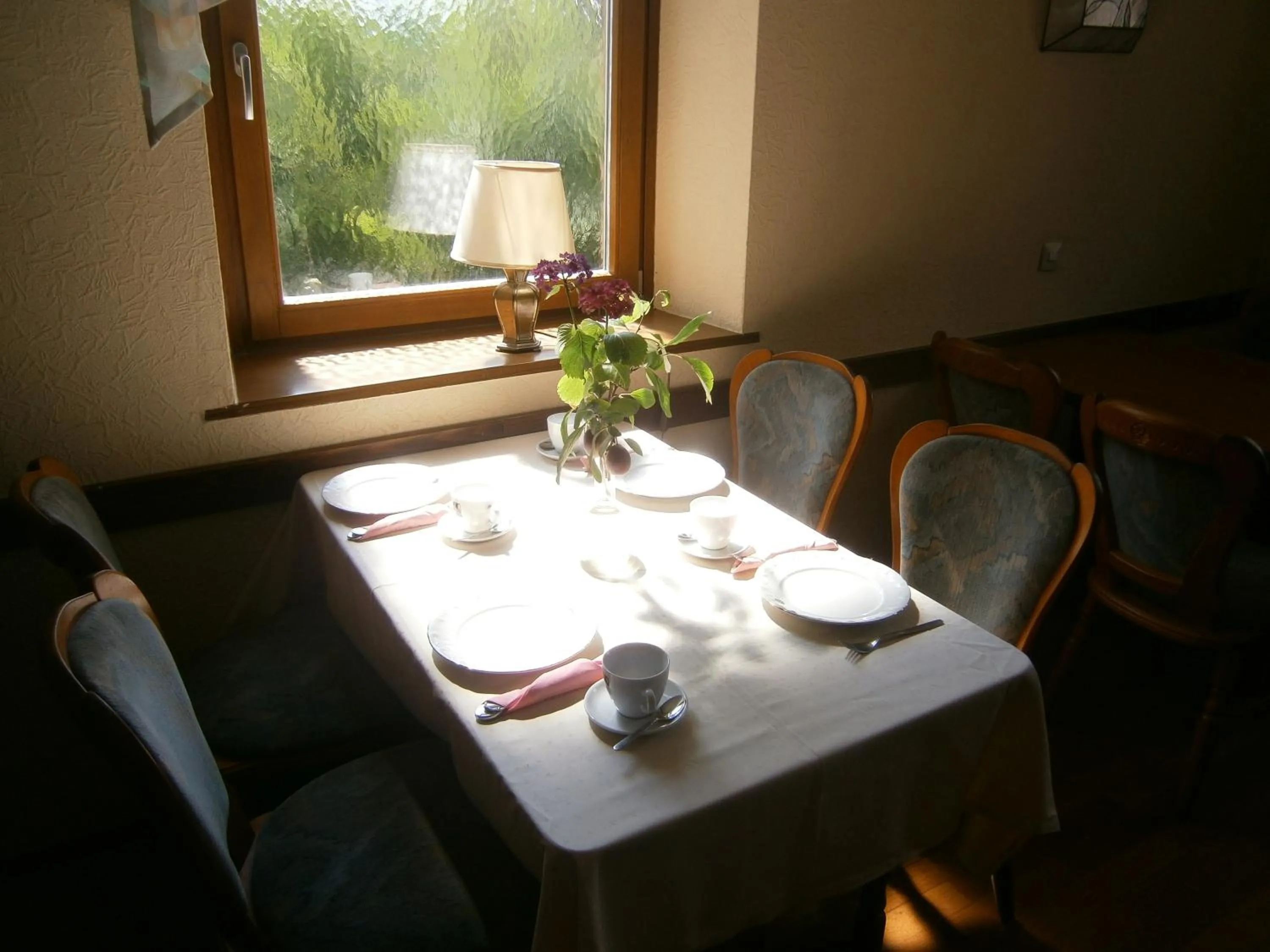 Restaurant/places to eat in Hotel Strauss