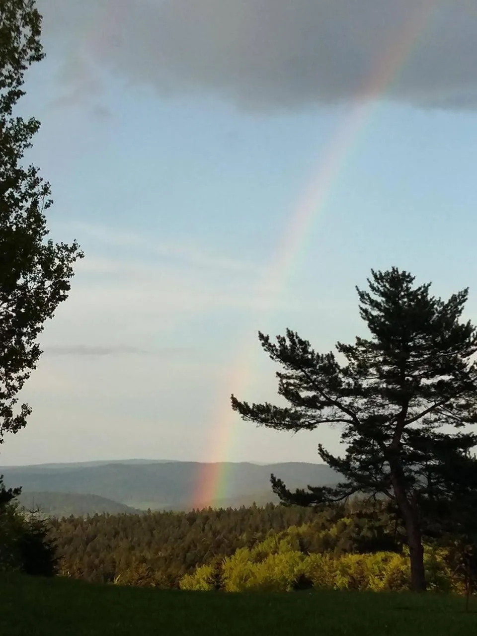 Natural landscape in Pensjonat Orle