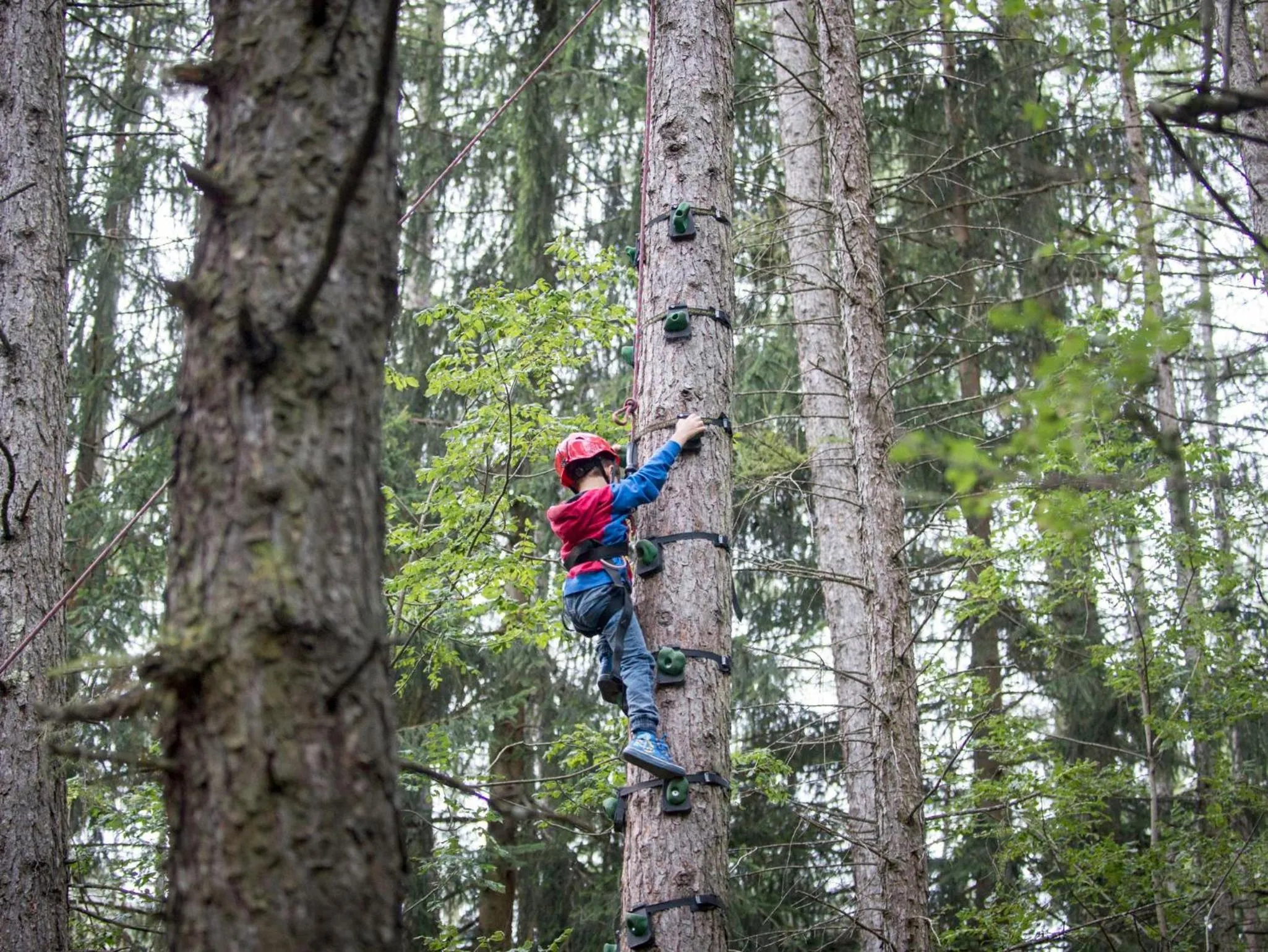 Day in Familienhotel Huber