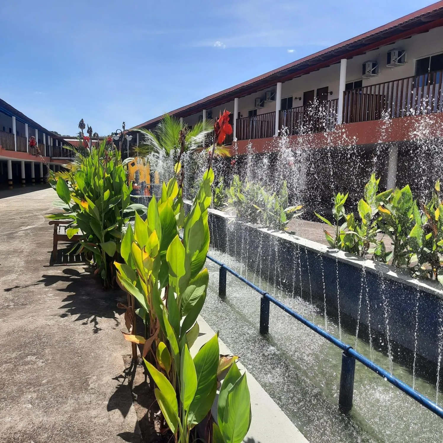 Hotel Cajuína Avenida