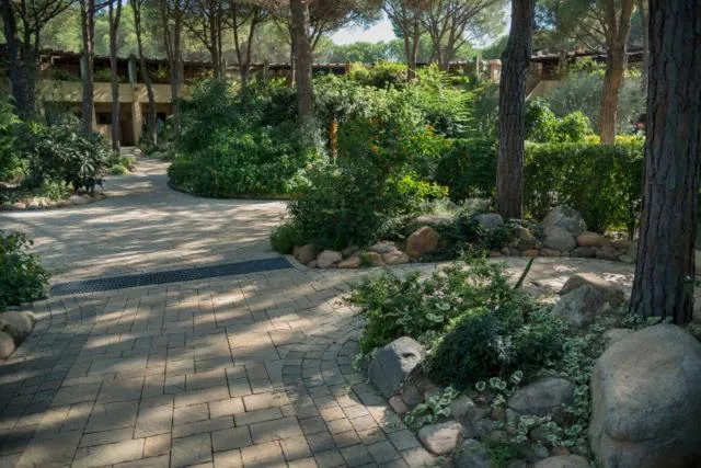 Natural landscape in Abbaechelu