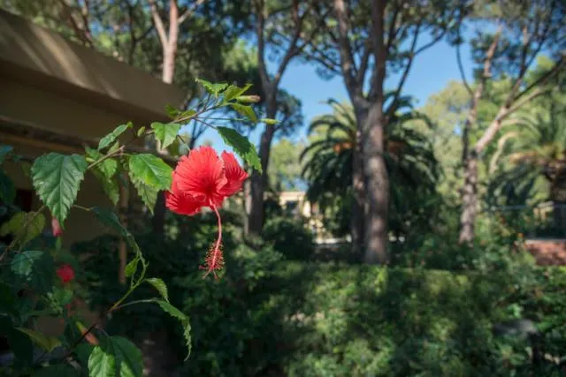 Natural landscape in Abbaechelu