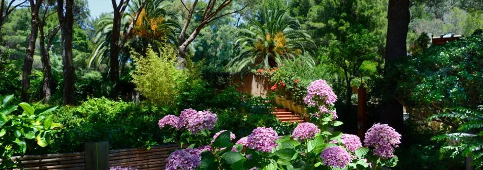 Garden in Abbaechelu