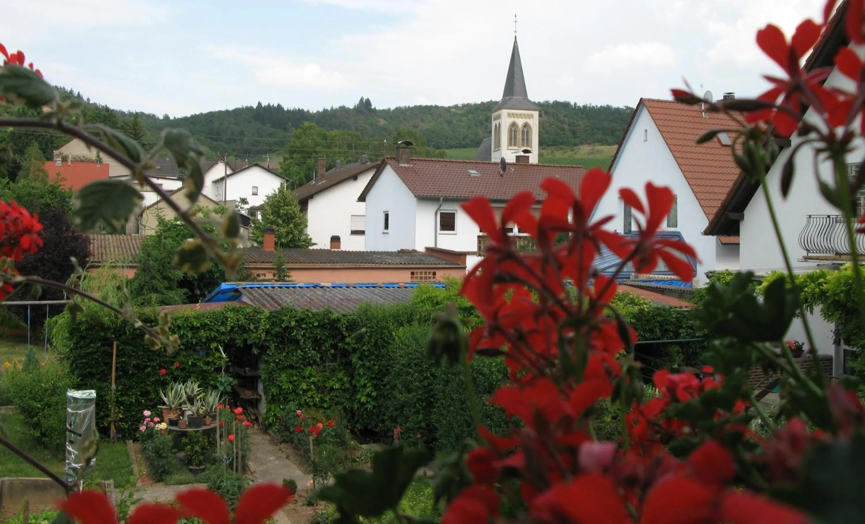 View (from property/room) in Zur Rotenfelsstube