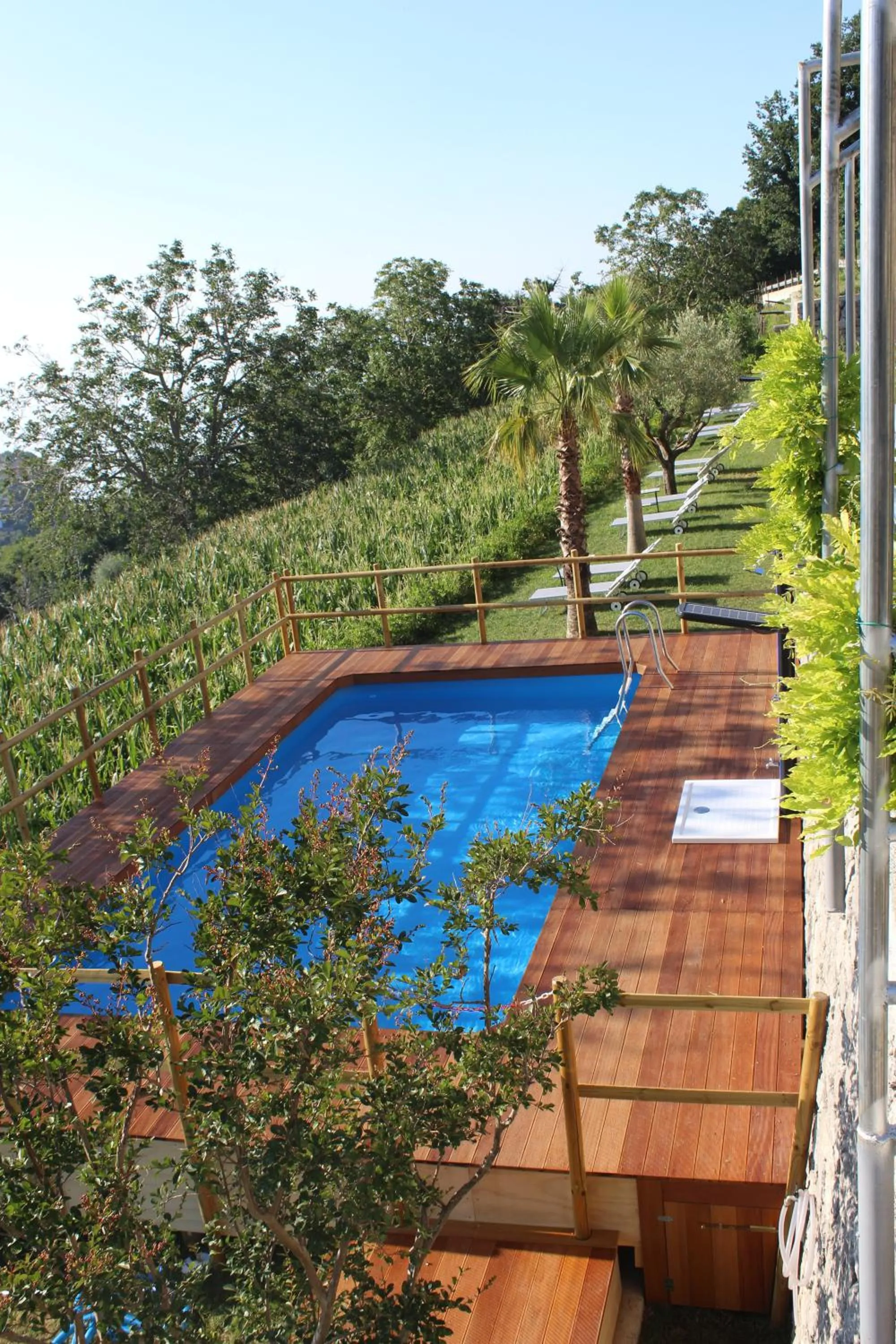 Swimming pool in Panariello Palace