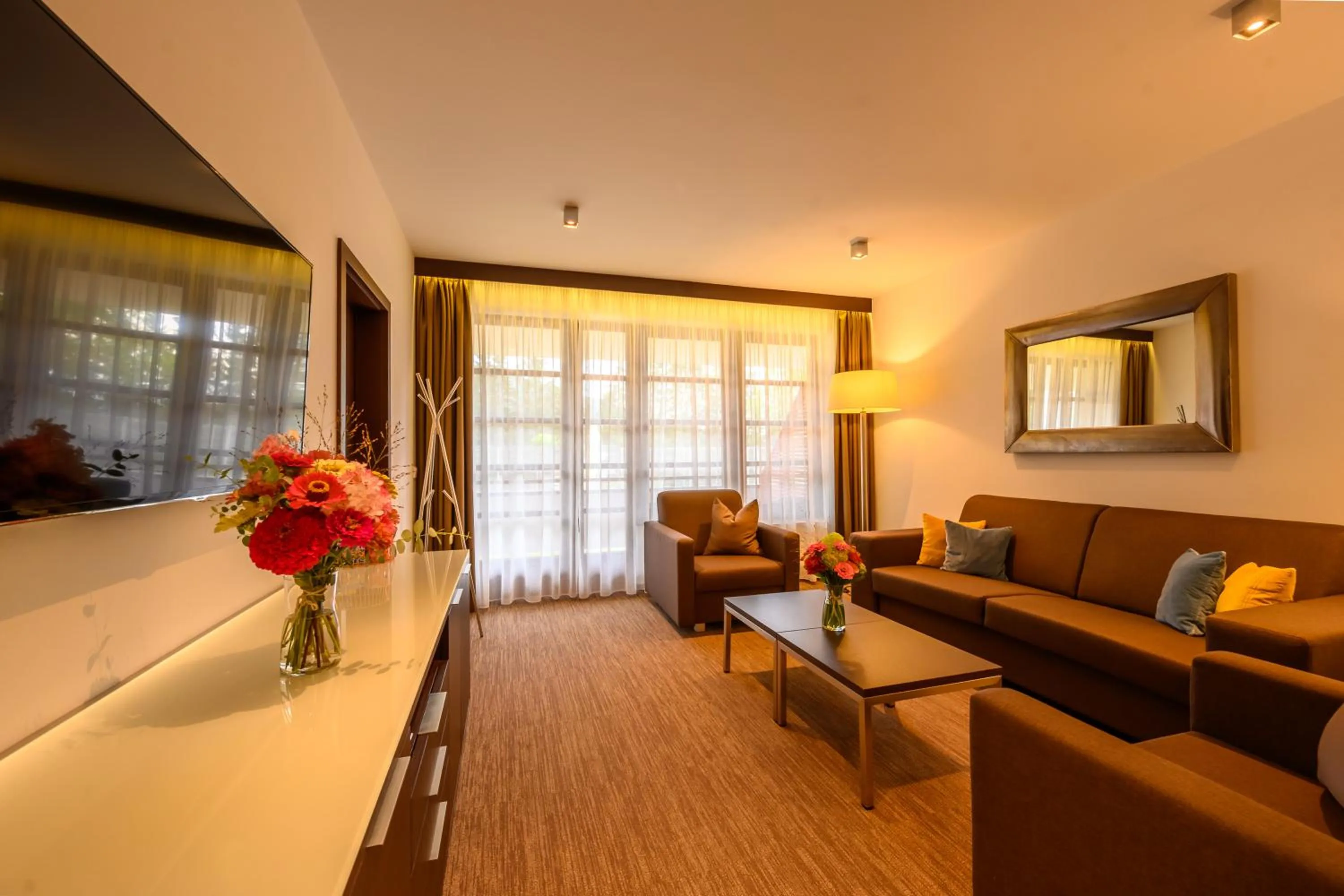 TV and multimedia in Hotel Bedriska Wellness Resort & Spa