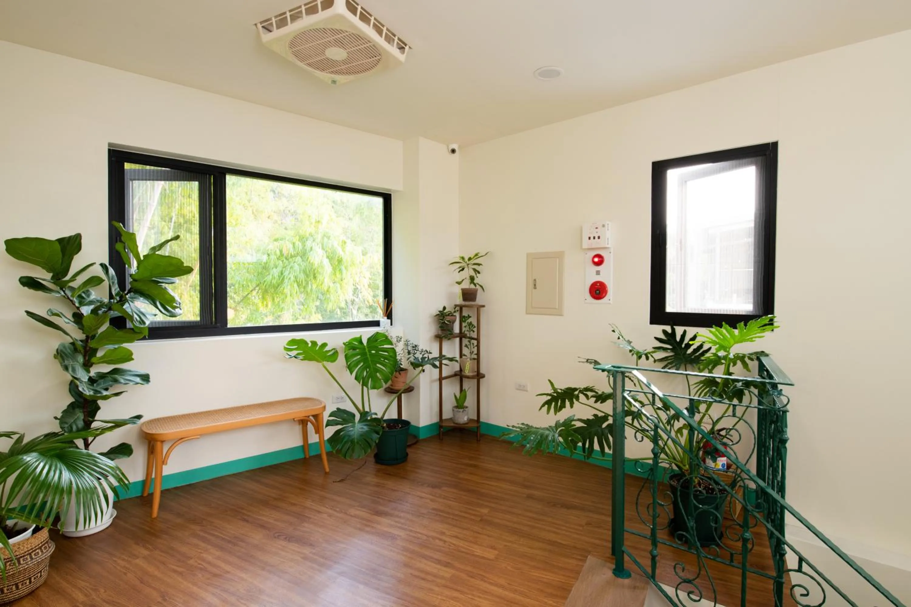 Garden in Lixia Hostel