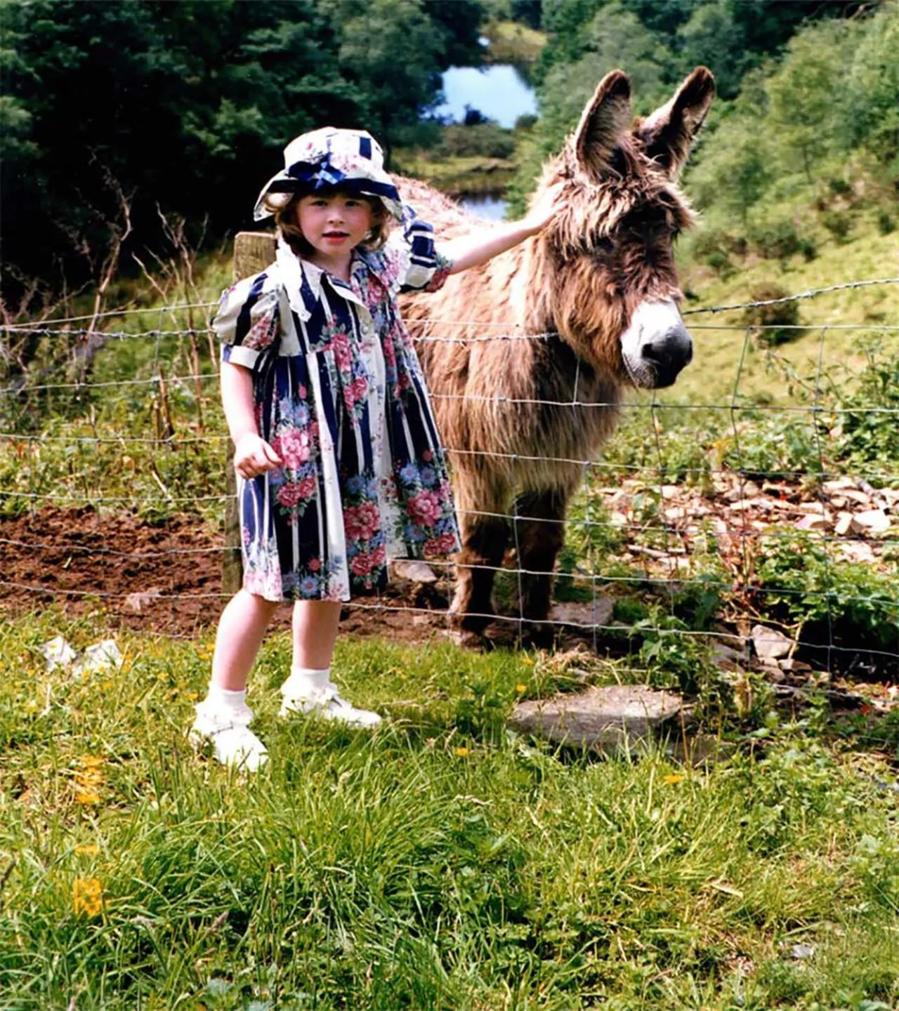 Animals in The Nook - Farm Park Stay with Hot Tub & Dome