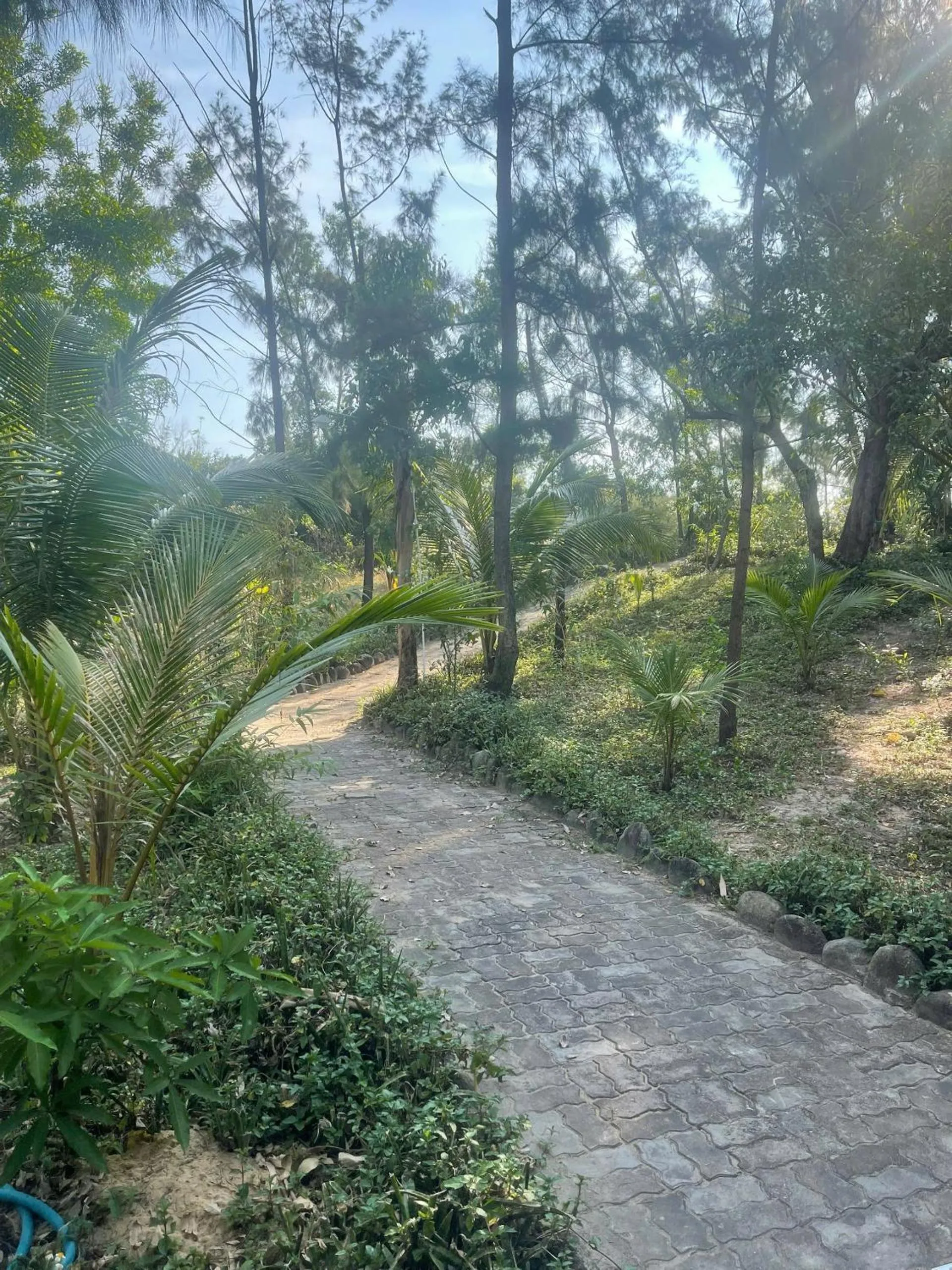 Neighbourhood in Lang Co Beach Resort