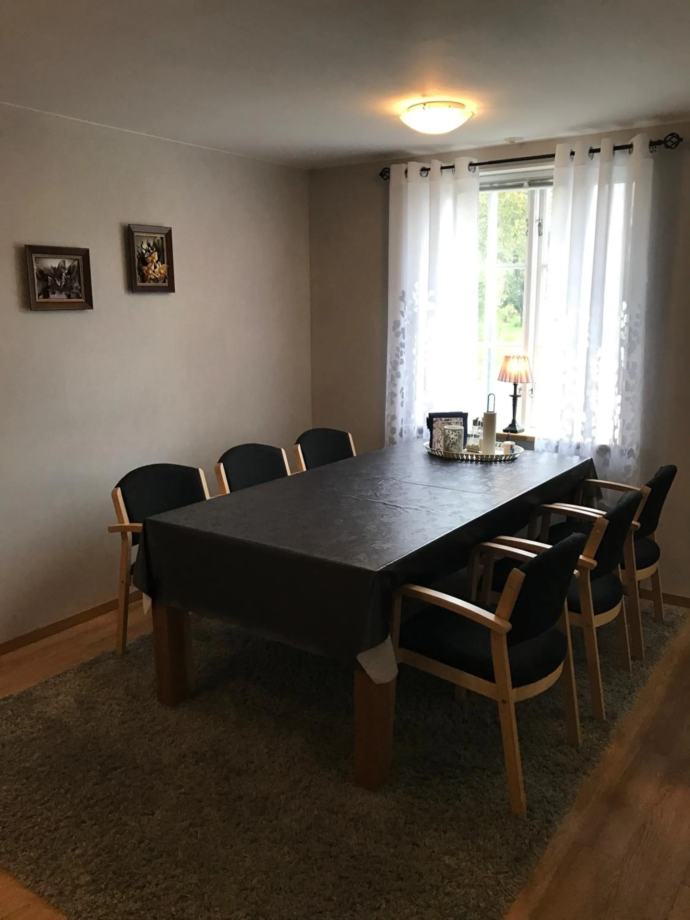 Day in Hedemora Logi