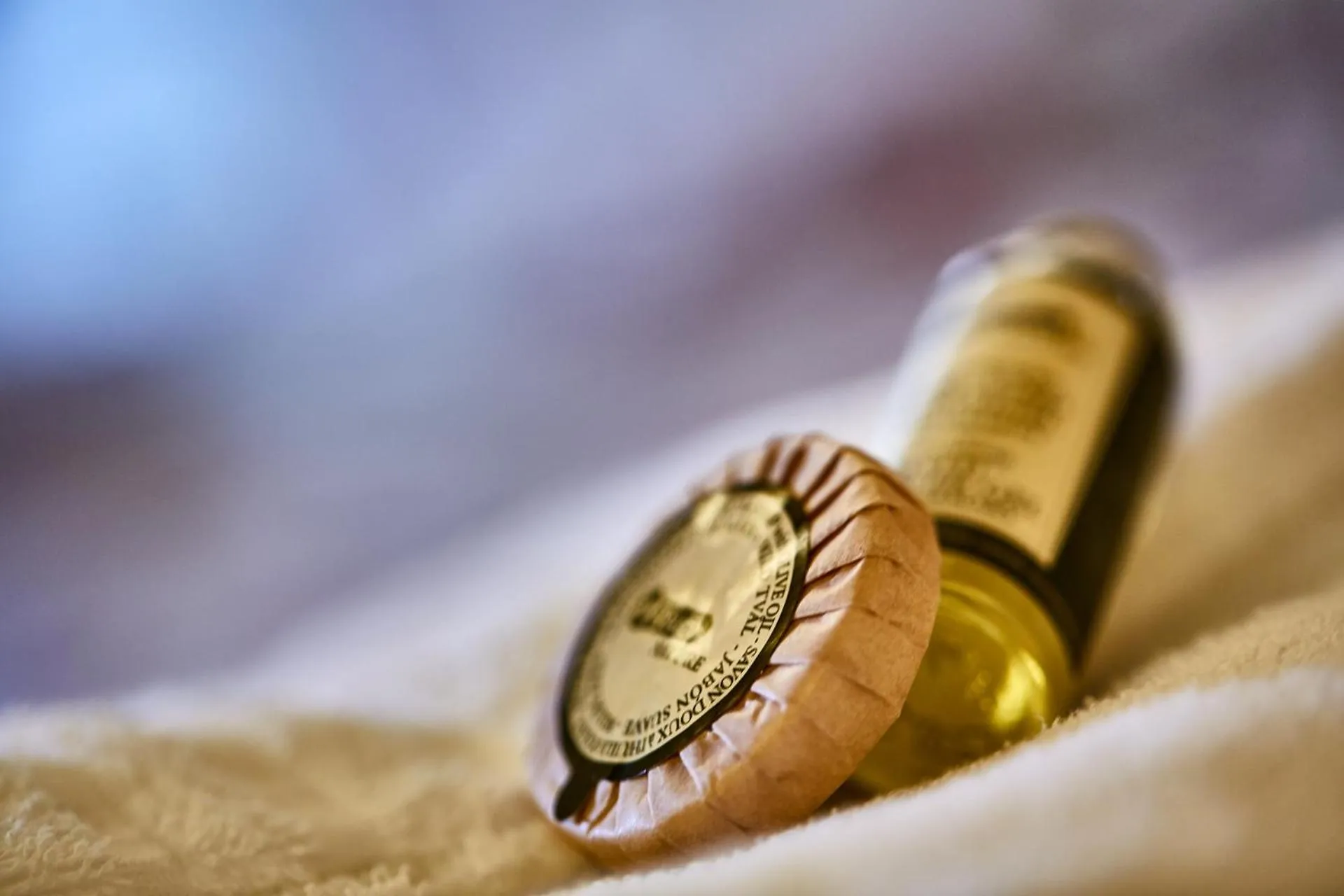 Facility for disabled guests in Albergo Trattoria Il Leone