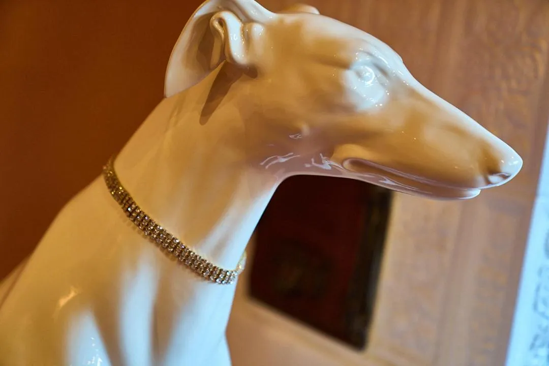 Albergo Trattoria Il Leone