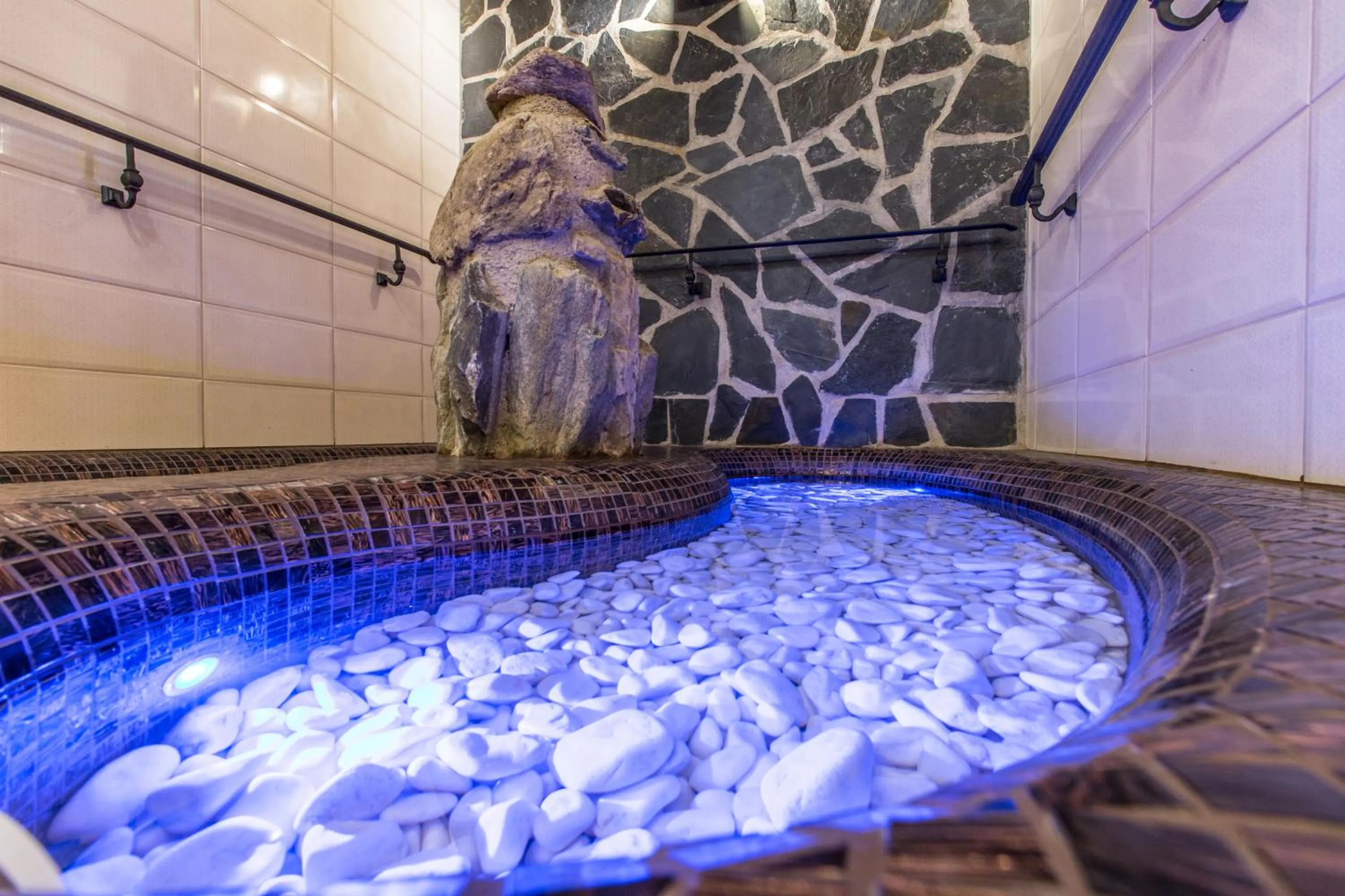 Spa and wellness centre/facilities in Hotel Franz