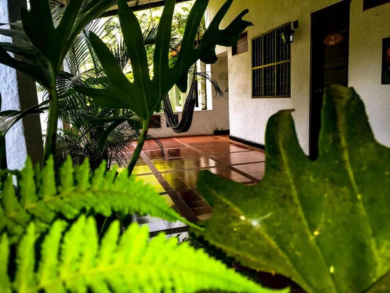 Balcony/Terrace in Hotel Minca - La Casona