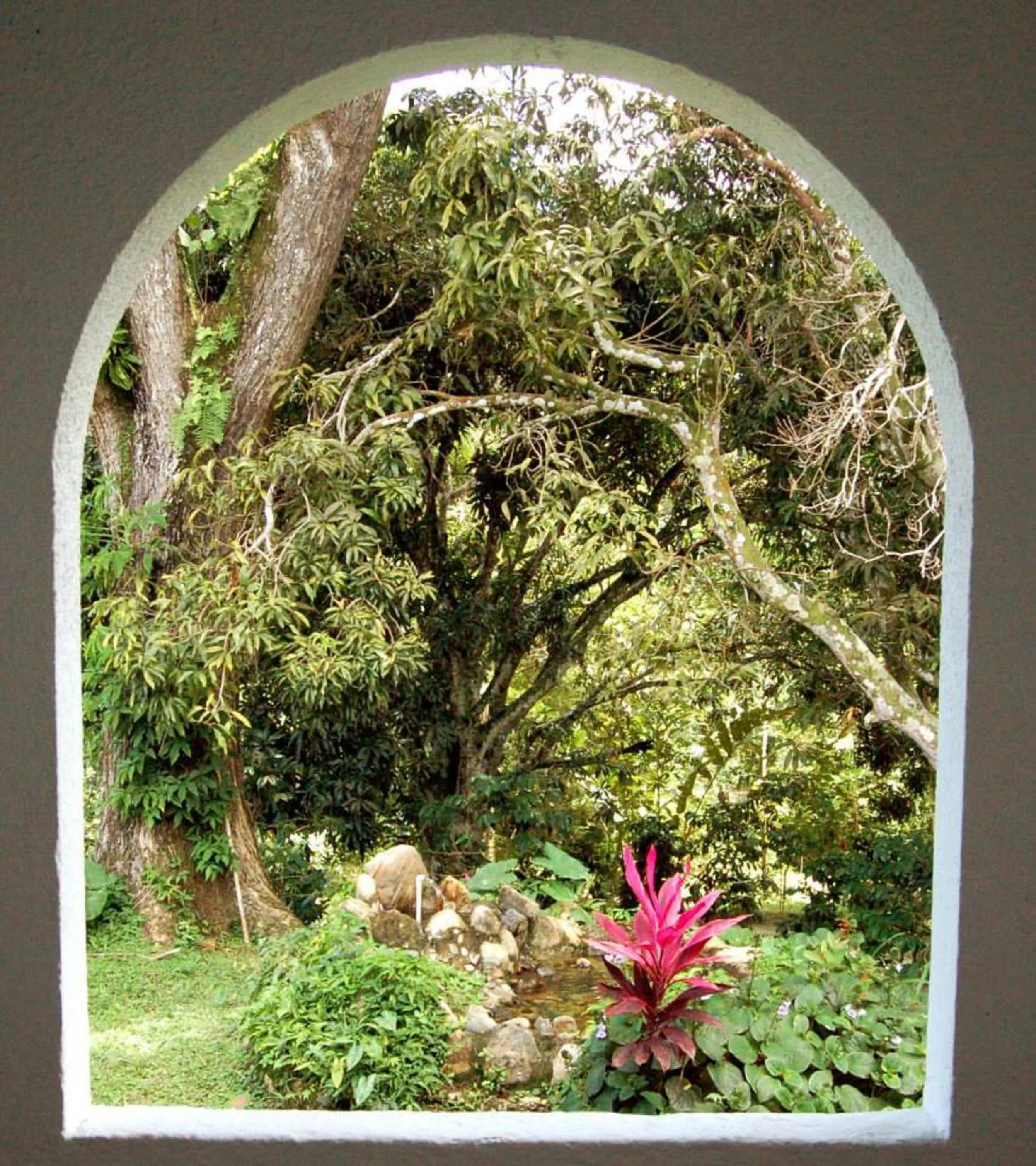 Natural landscape in Hotel Minca - La Casona