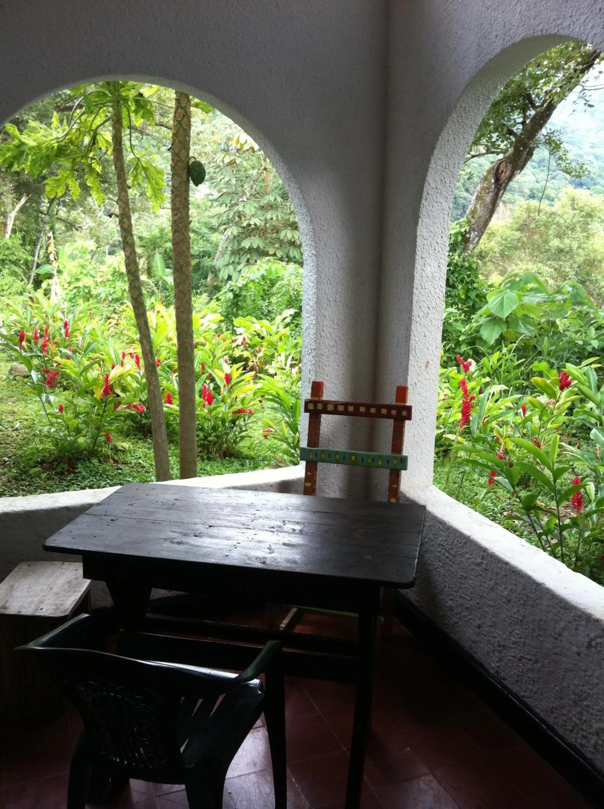 Natural landscape in Hotel Minca - La Casona