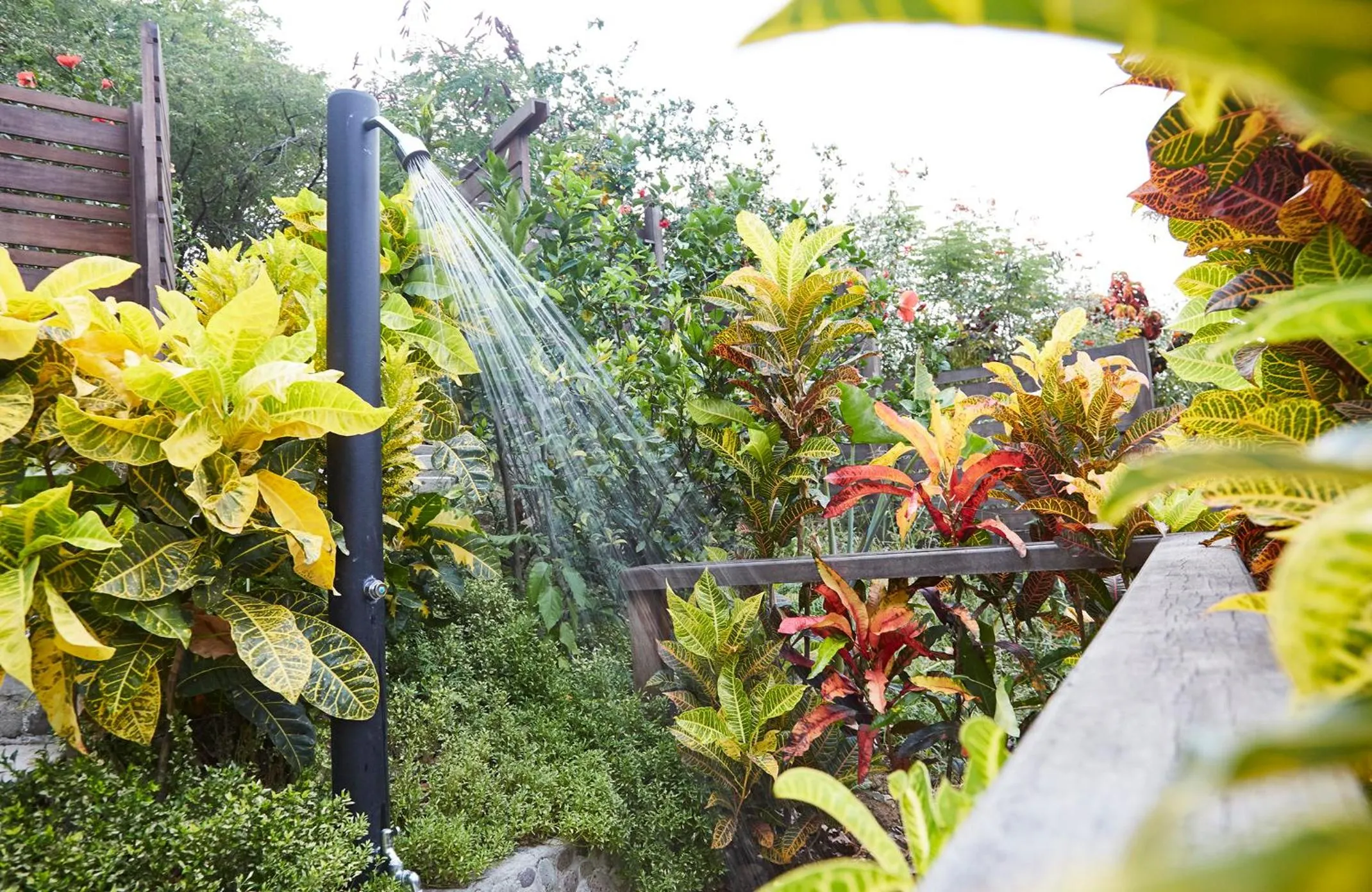 Garden in Secret Bay