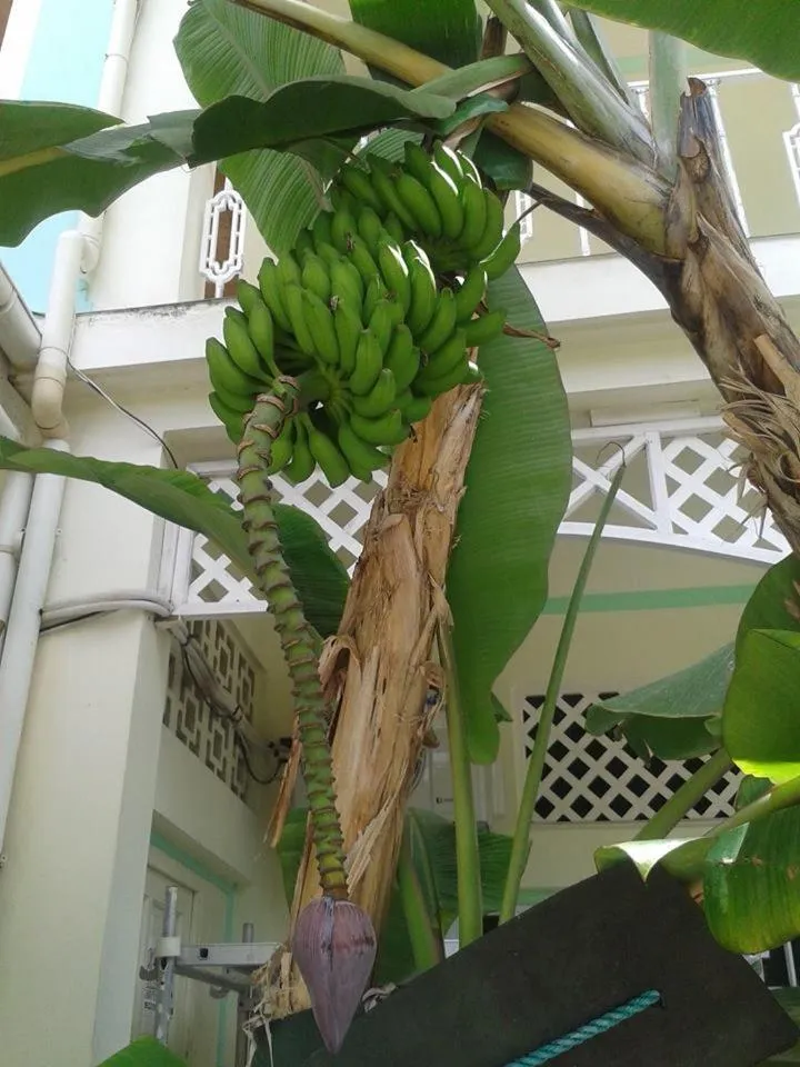 People in Palm Beach Hotel