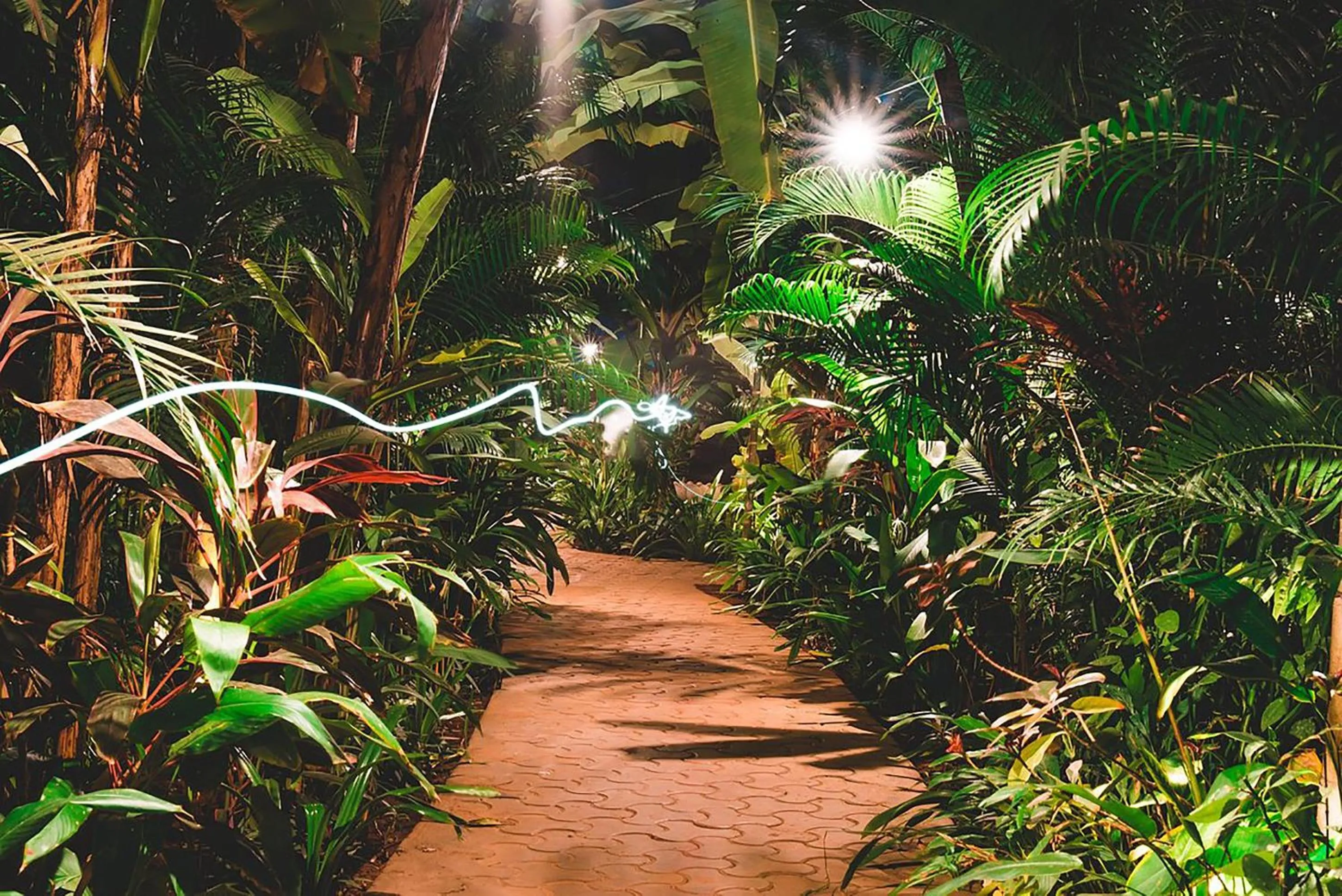 Property building in juSTa Morjim Beach Resort Goa - 80 Steps from Morjim Beach