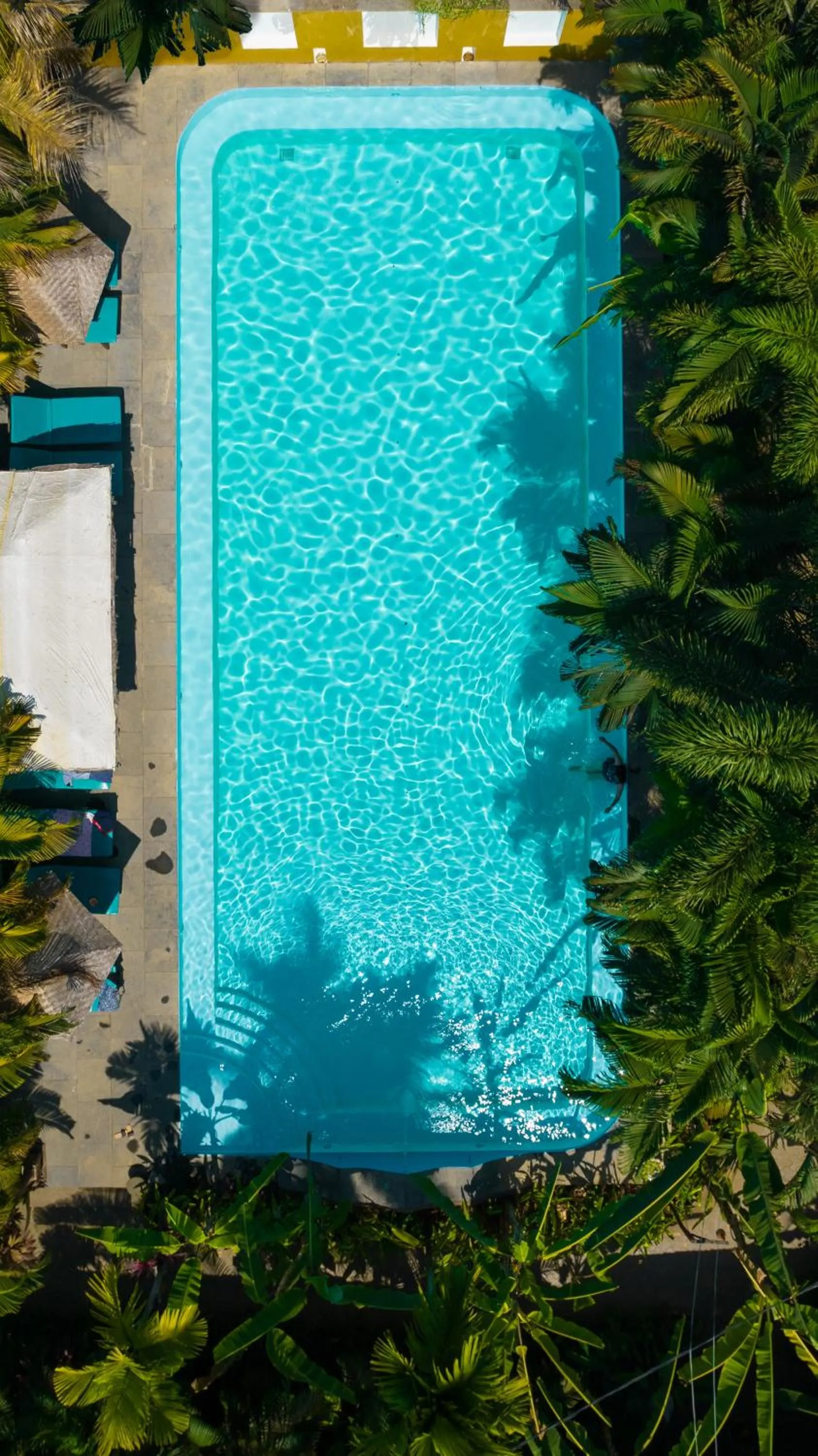 Swimming pool in juSTa Morjim Beach Resort Goa - 80 Steps from Morjim Beach