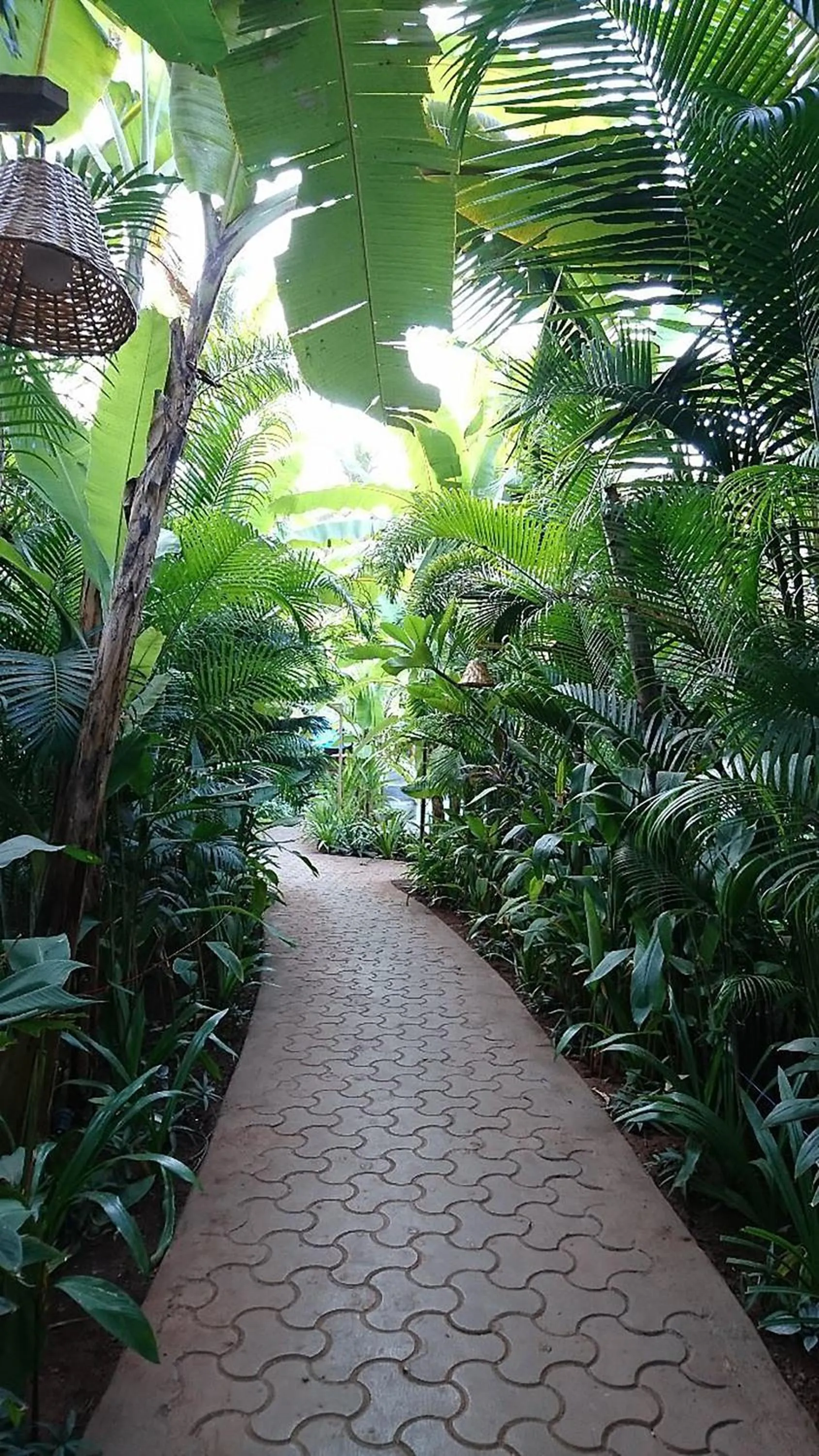 Garden in juSTa Morjim Beach Resort Goa - 80 Steps from Morjim Beach