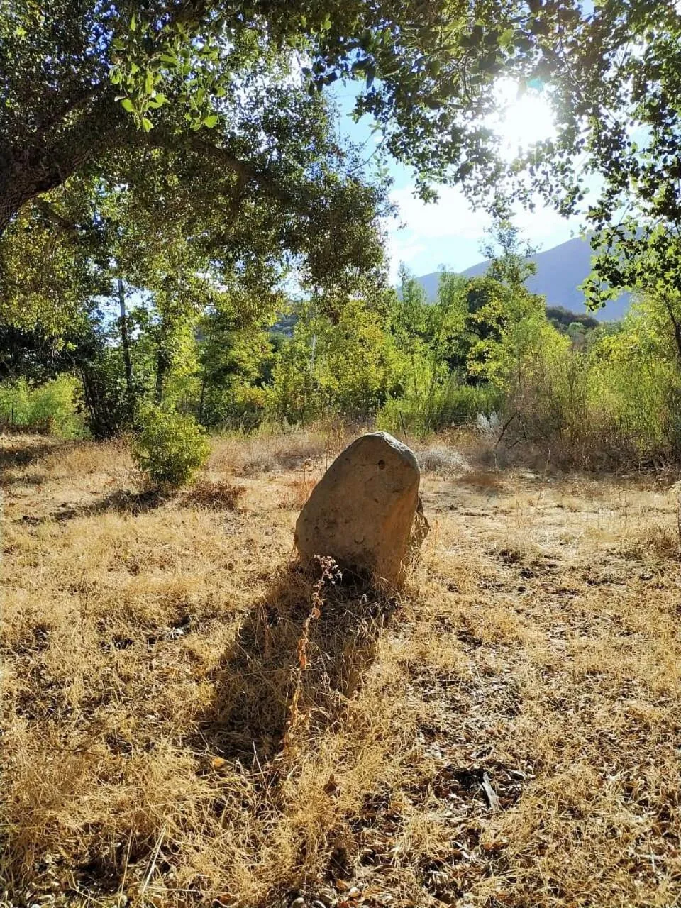 Natural landscape in Quinta Maria en la Ruta del Vino