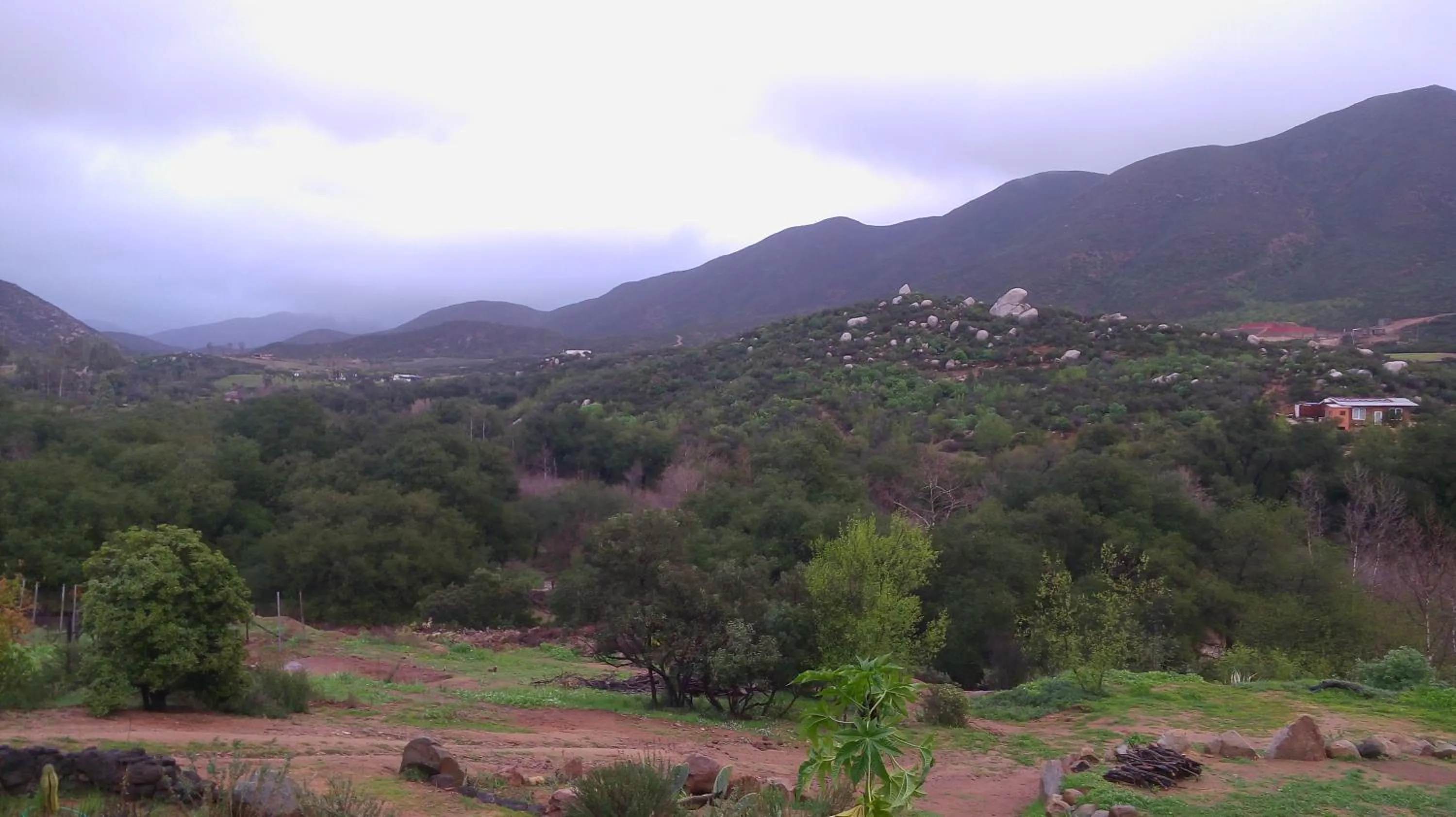 Natural landscape in Quinta Maria en la Ruta del Vino
