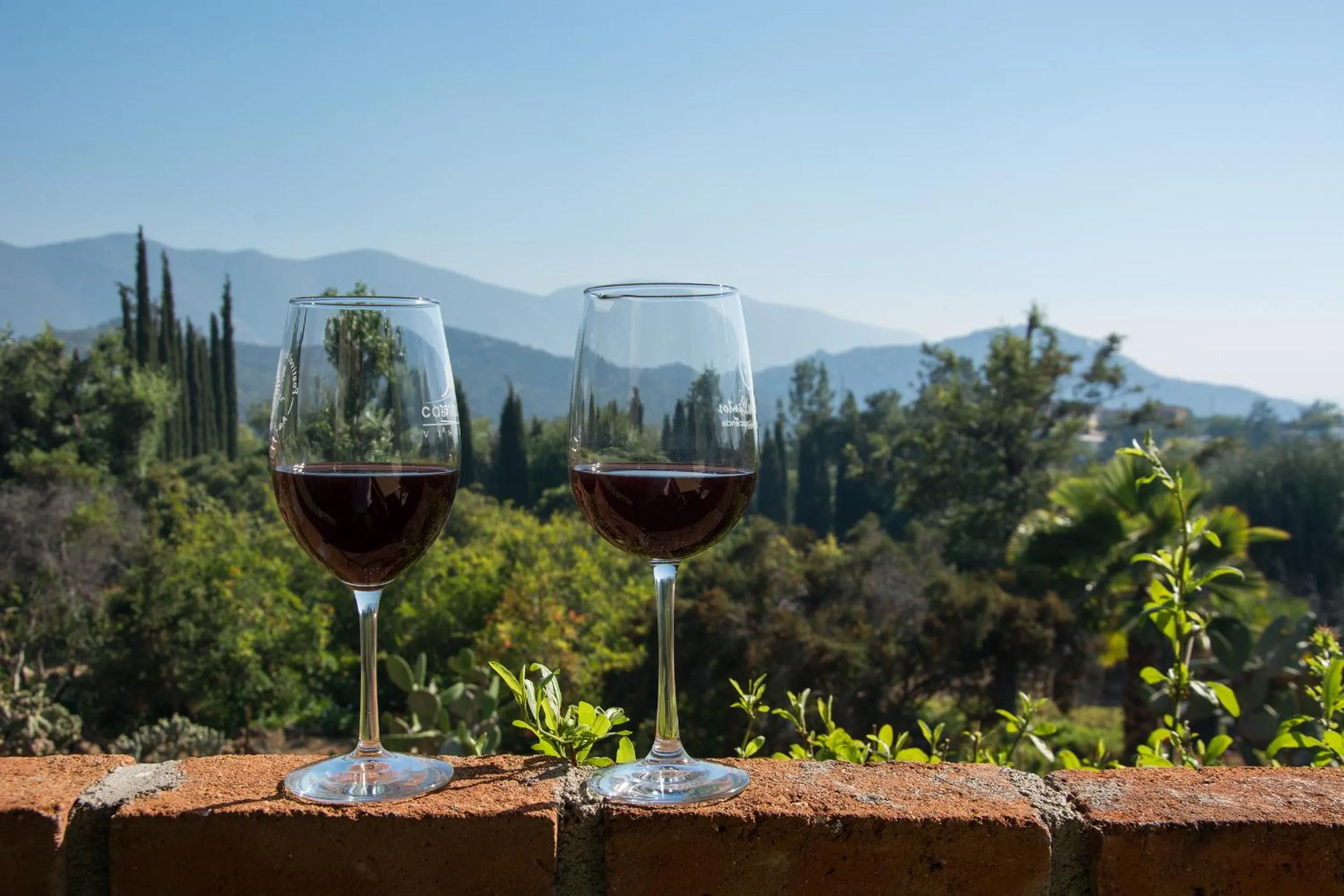 Garden view in Quinta Maria en la Ruta del Vino