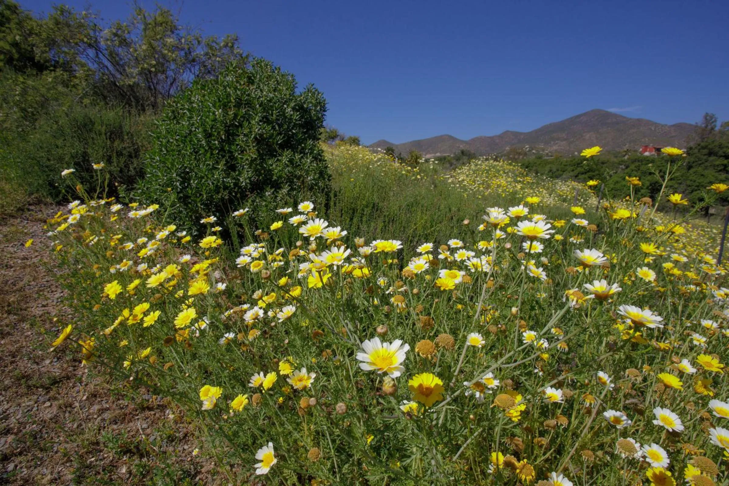 Mountain view in Quinta Maria en la Ruta del Vino