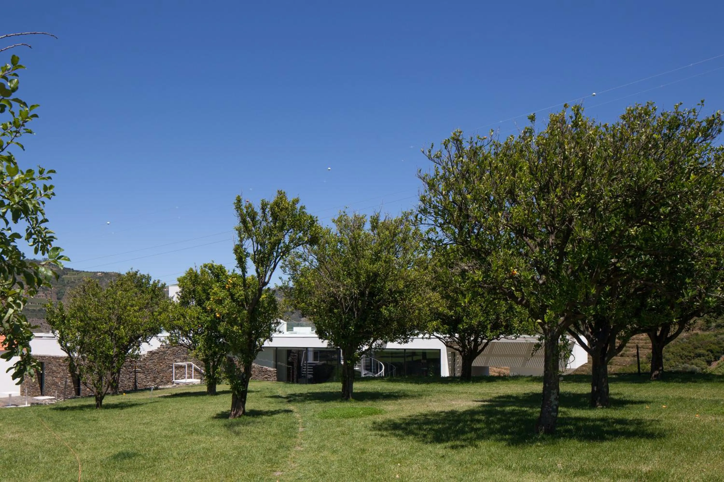 Garden in Quinta De Casaldronho Wine Hotel