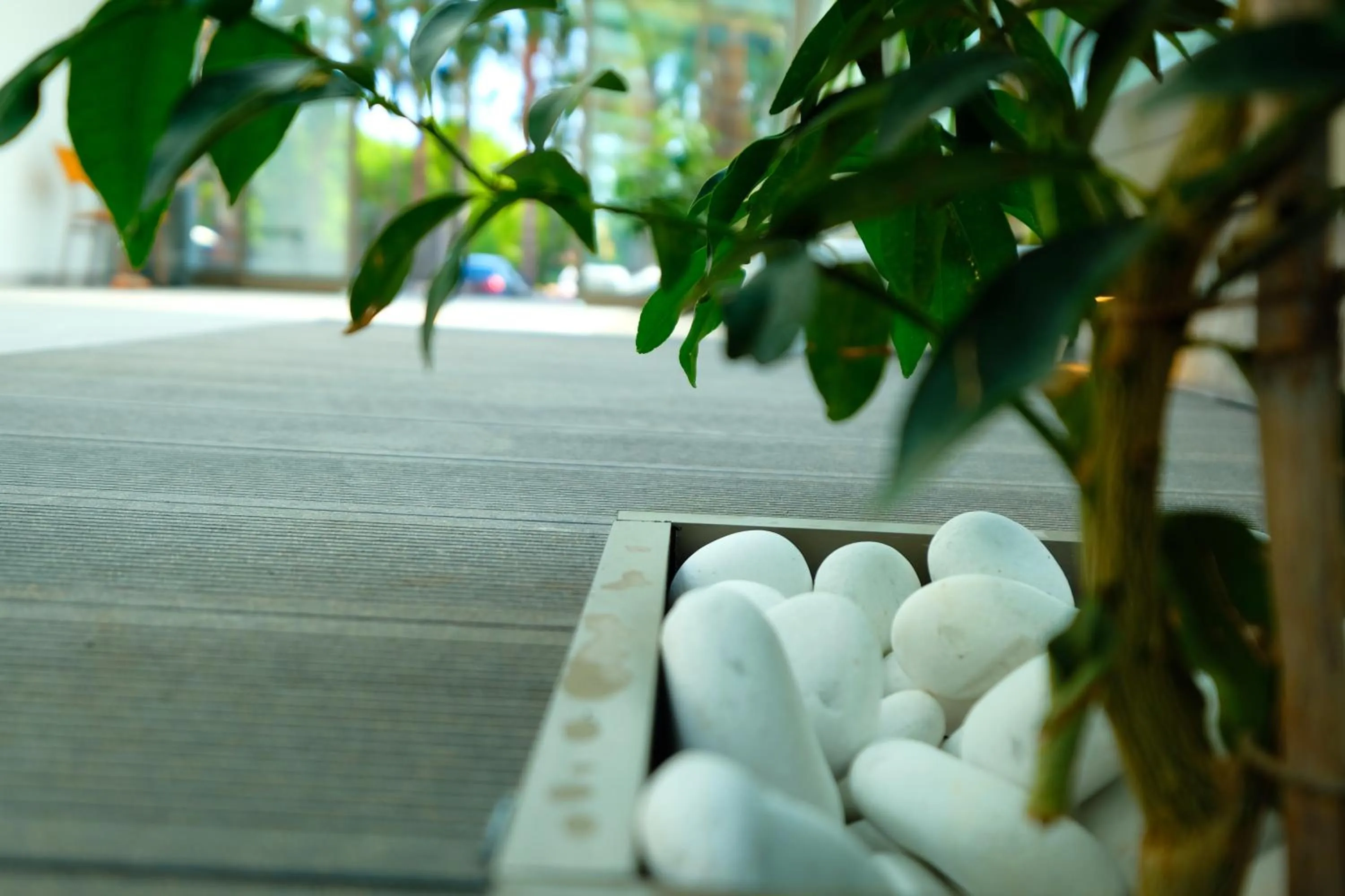 Property building in Vega Suites