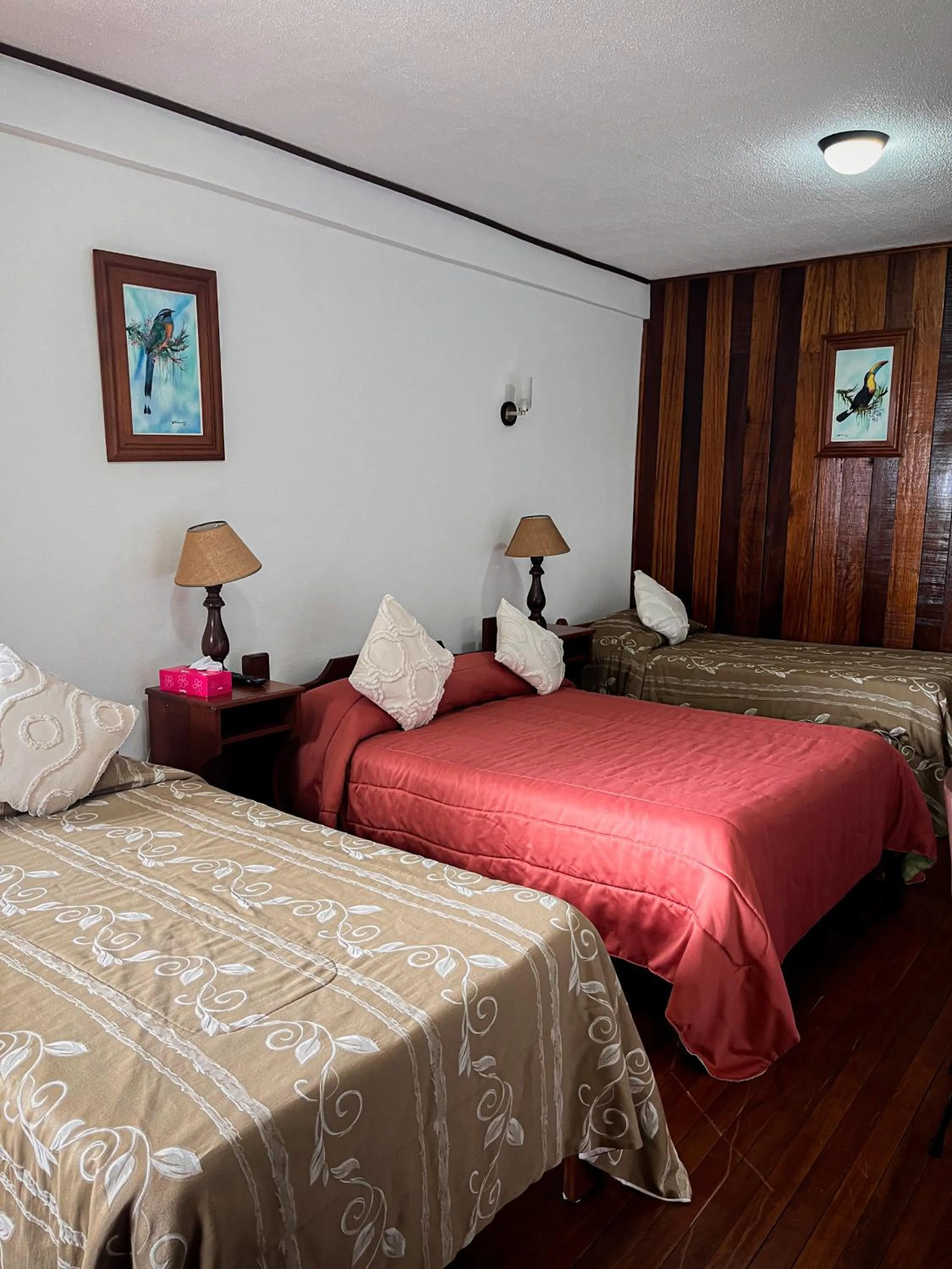 Bedroom, Bed in Hotel Montaña Monteverde