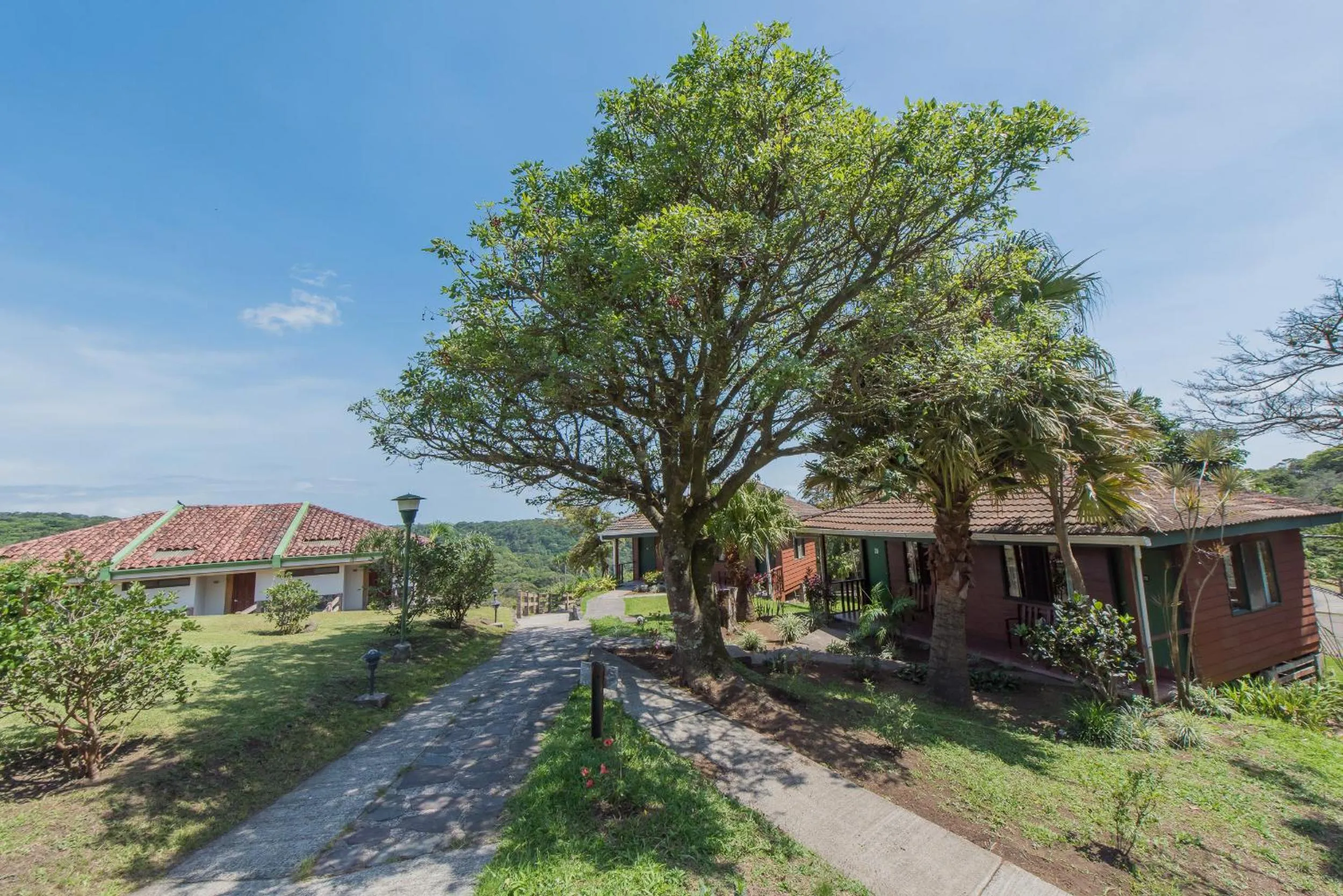 Day in Hotel Montaña Monteverde