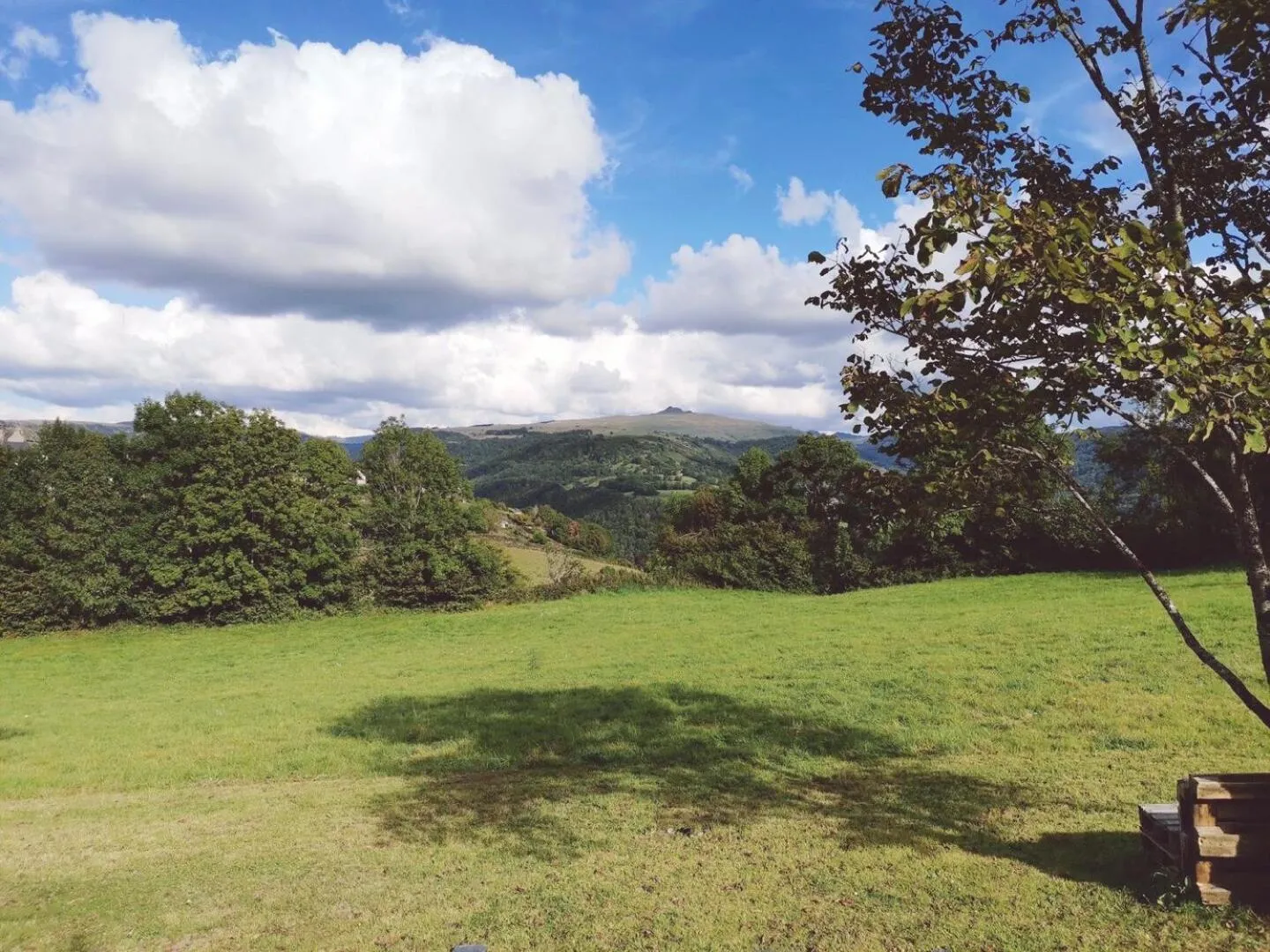 Garden in Maison d'Hôtes La Grange
