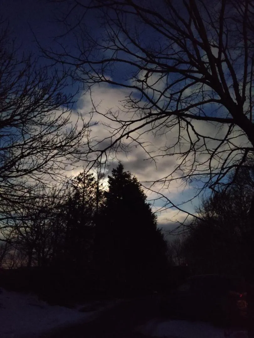 Garden in Maison d'Hôtes La Grange