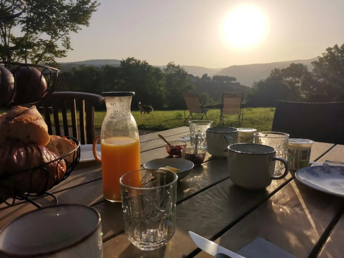Garden view in Maison d'Hôtes La Grange