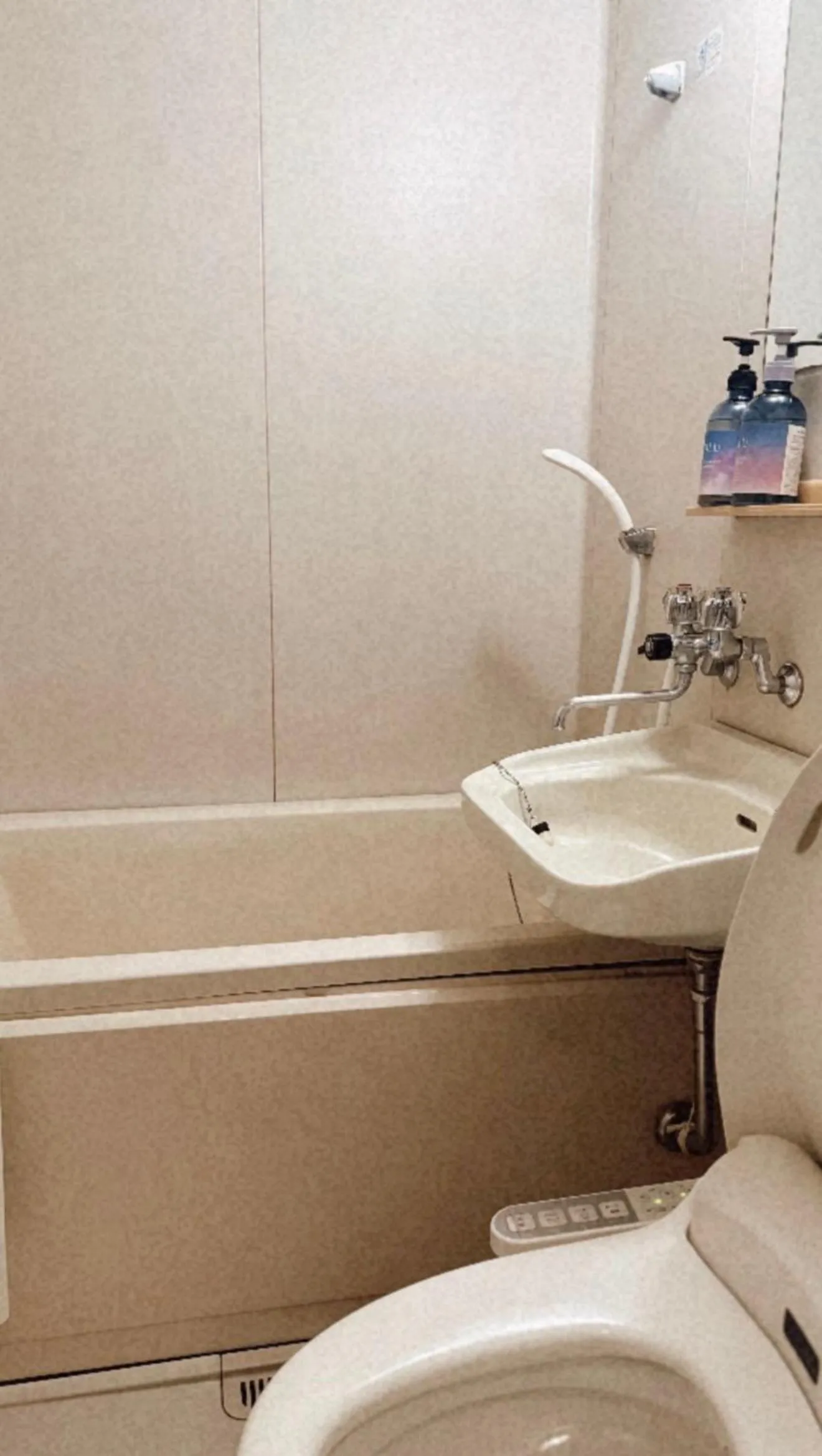 Yuzawa Hotel New Fukudaya-ski in ski out