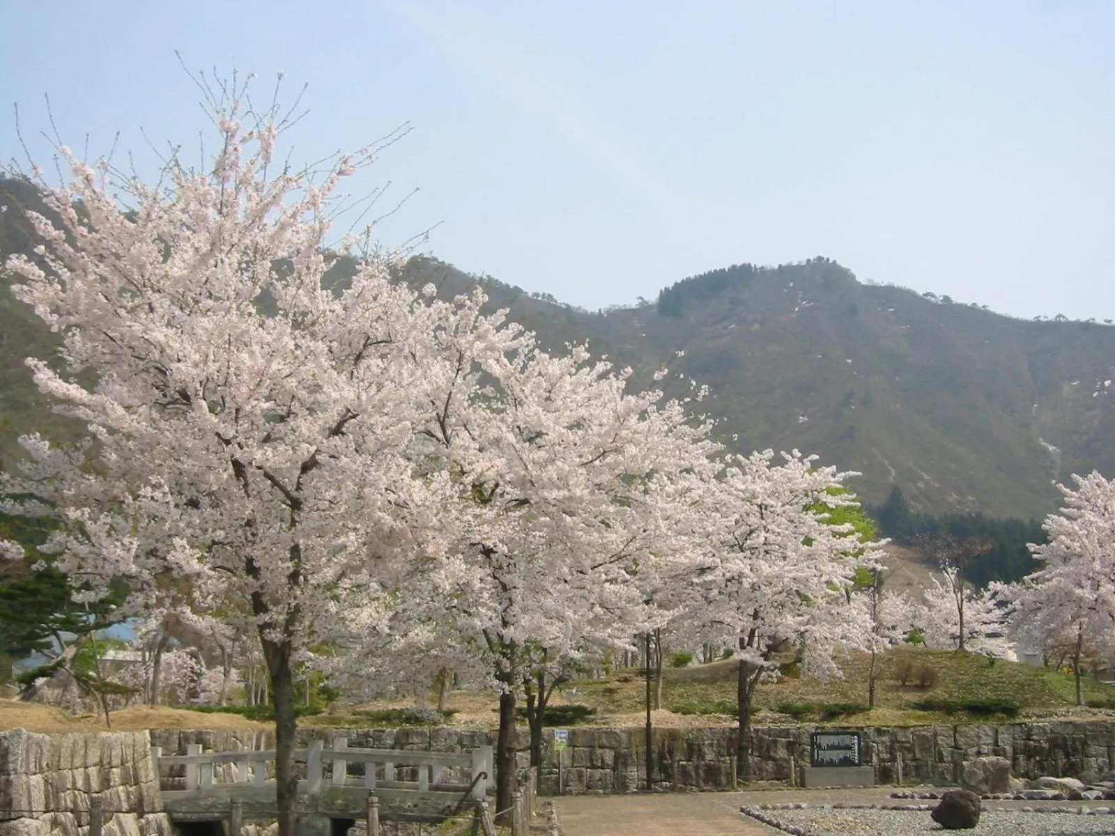 Natural landscape in Pension Oz