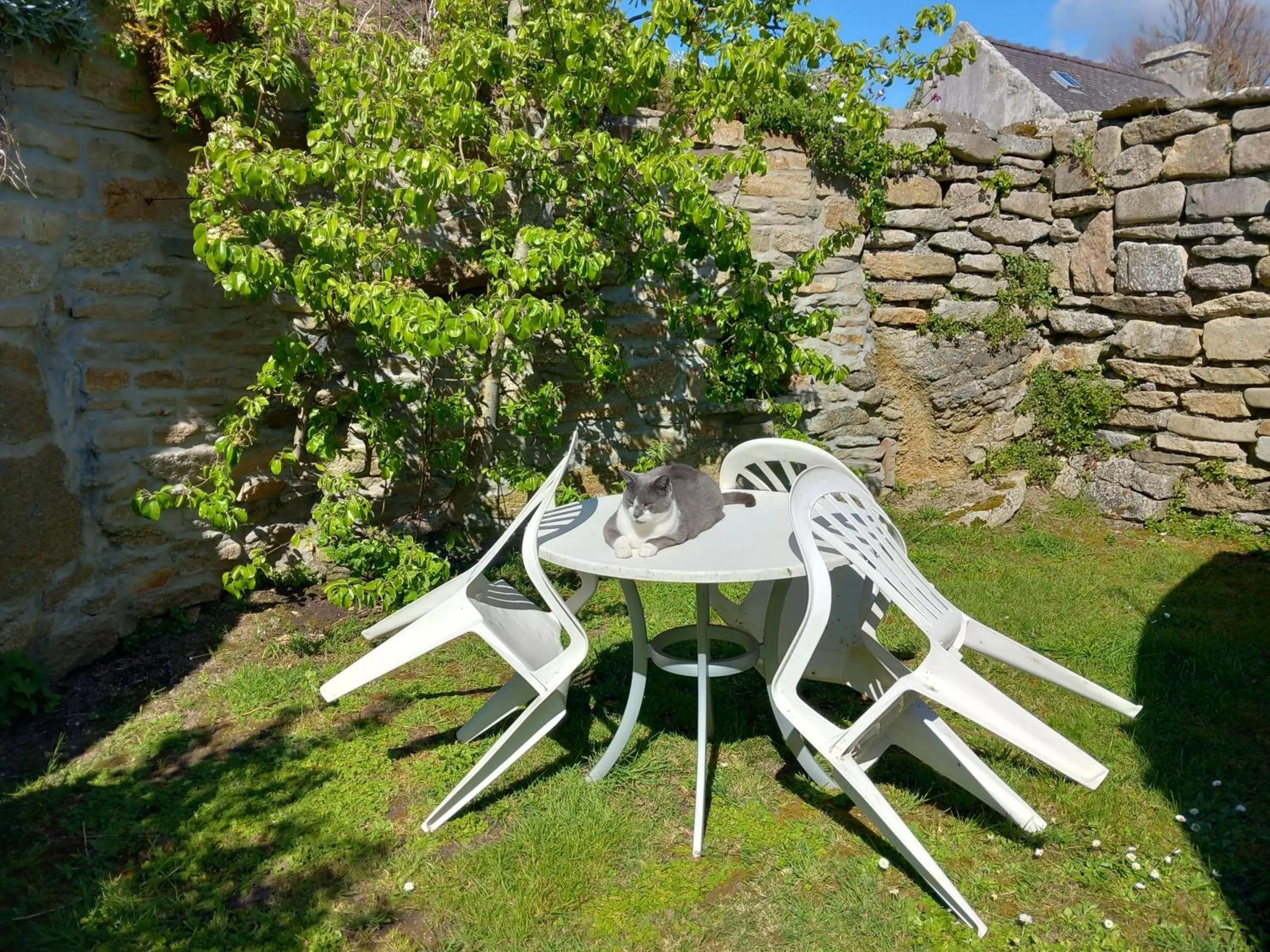 Garden in Chambres d'hôtes de Kermerrien