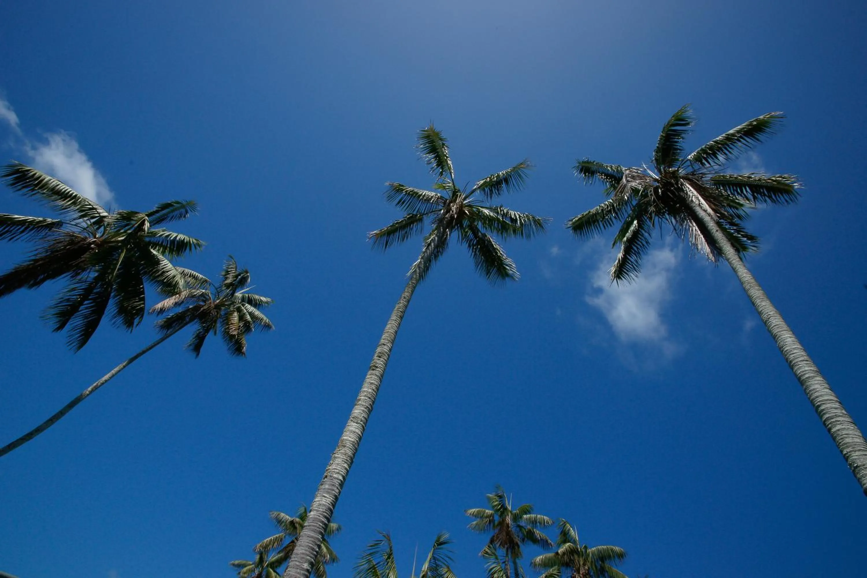 Area and facilities in Beachcomber Lodge
