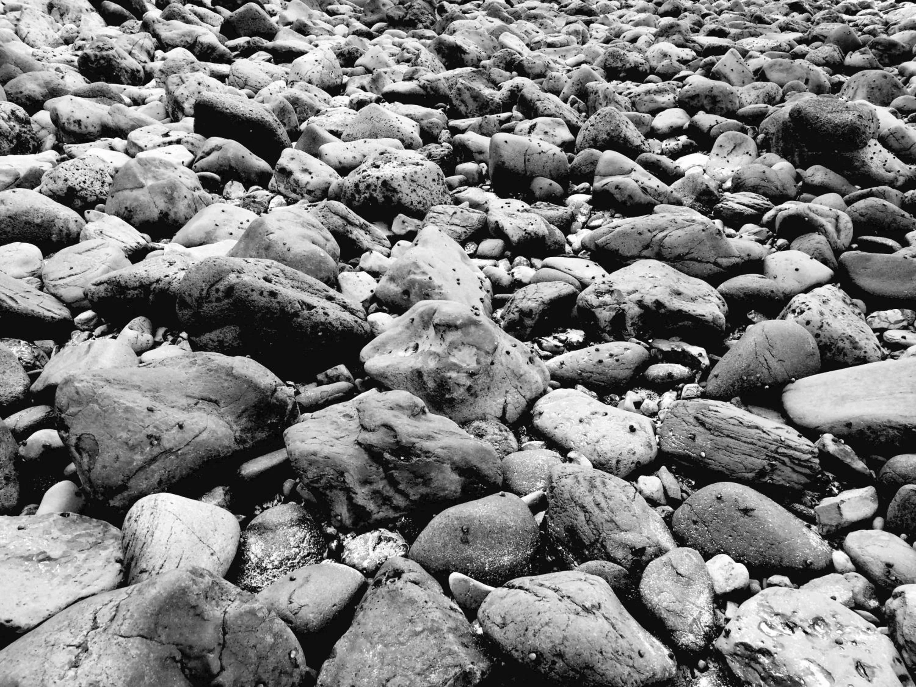 Other in Beachcomber Lodge