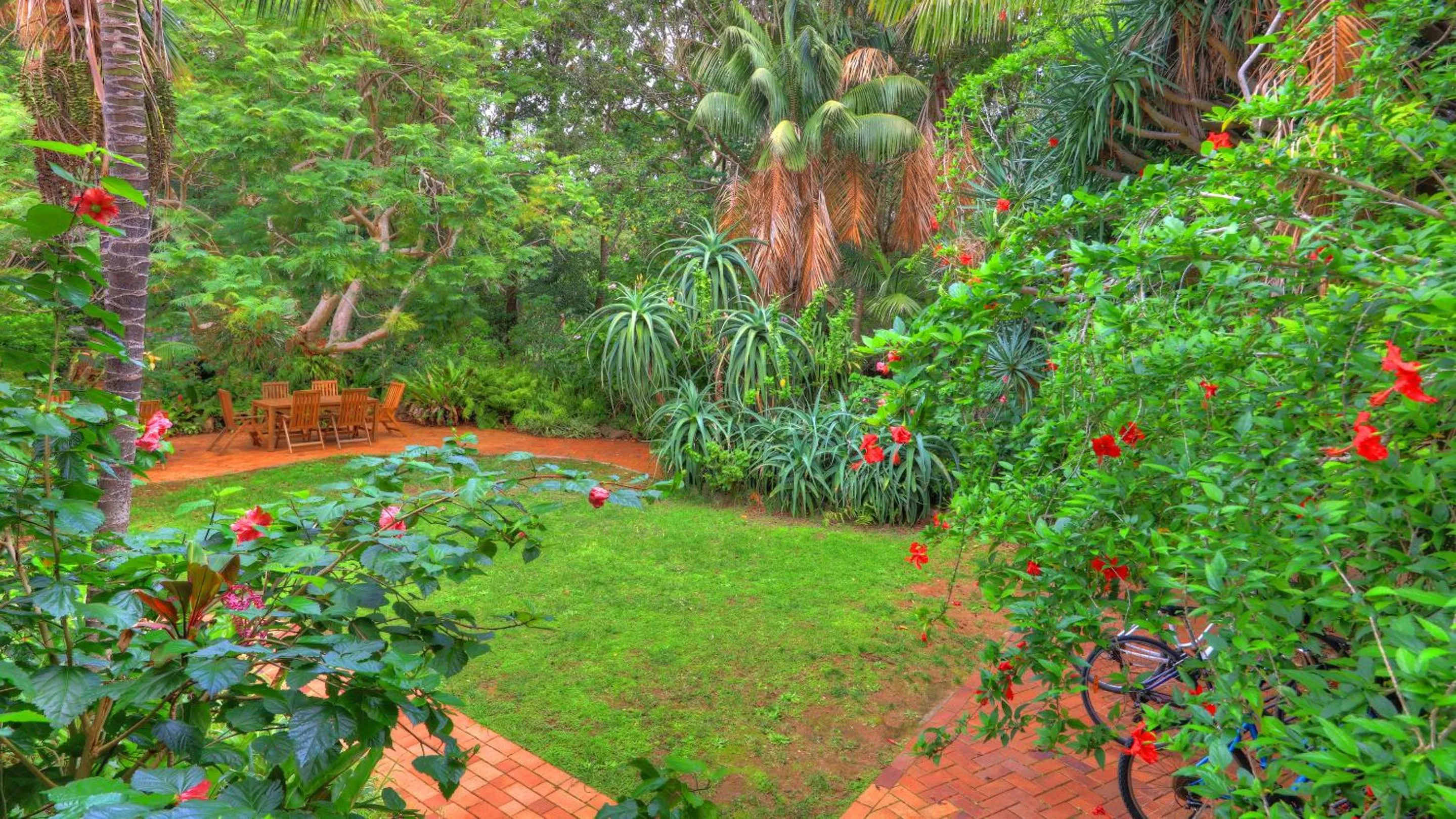 Garden view in Beachcomber Lodge