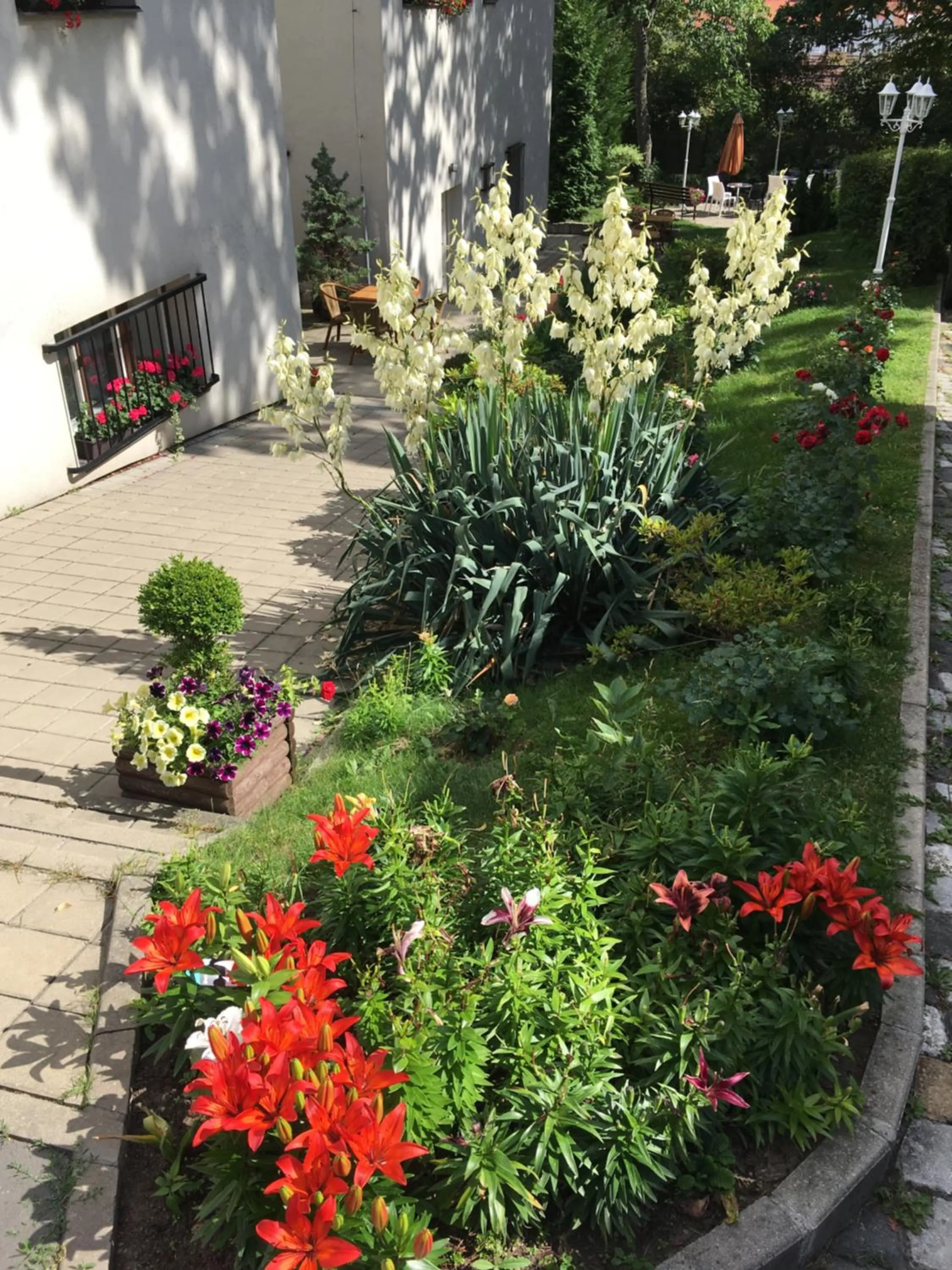 Garden in Pension Jana - Domov Mládeže