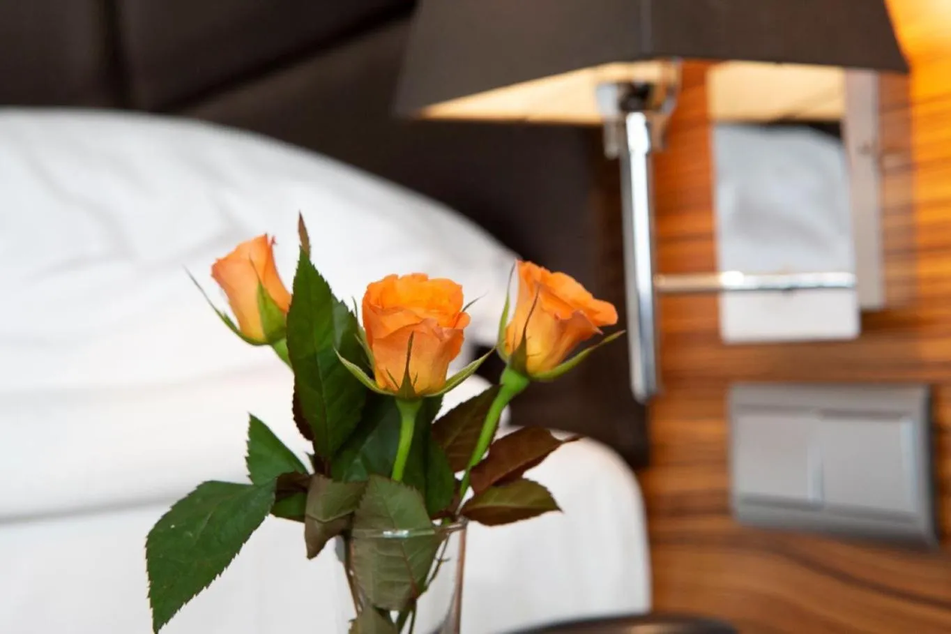 Photo of the whole room in Art Hotel William