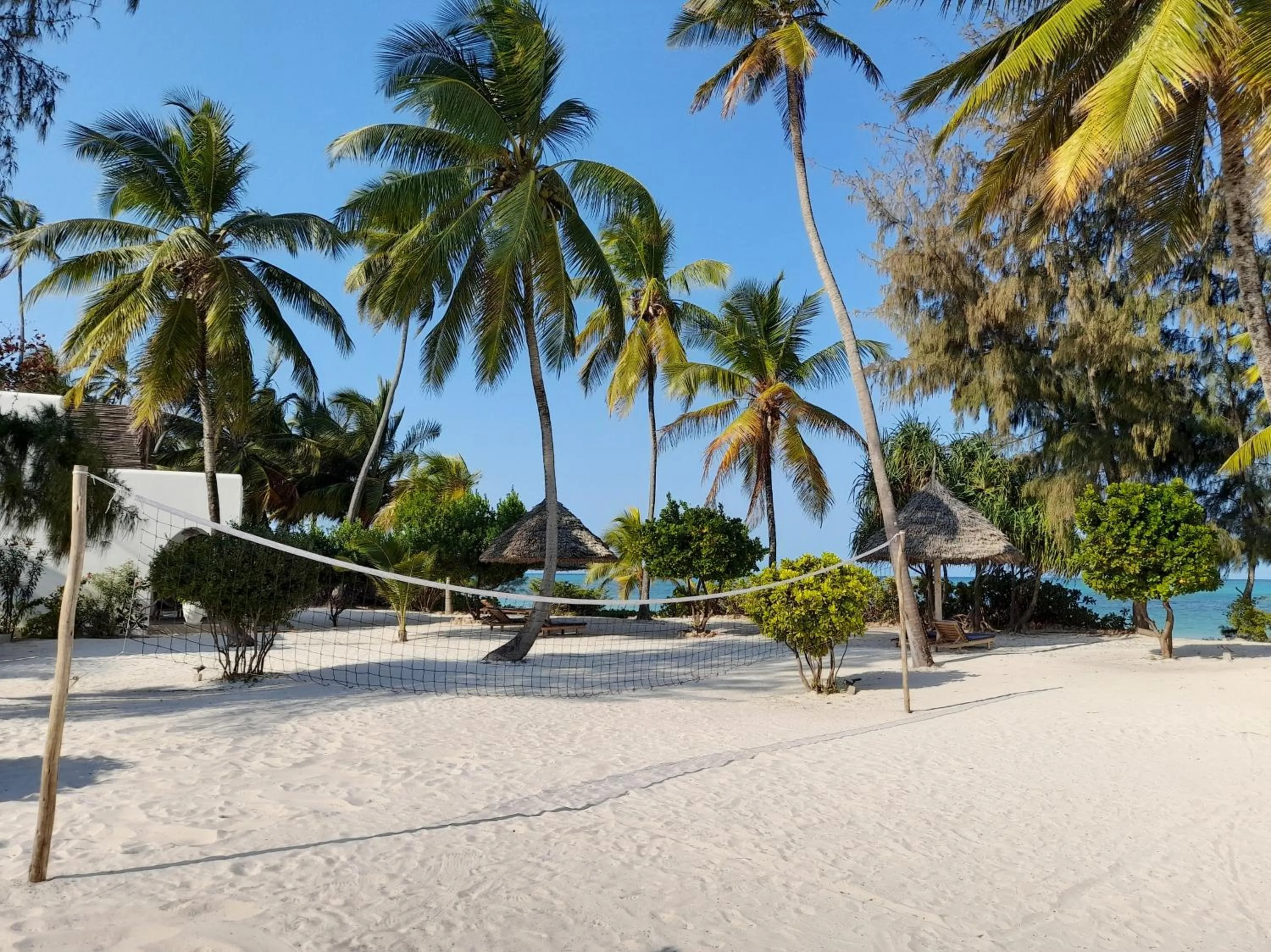 Garden in Kijani Beach Villas