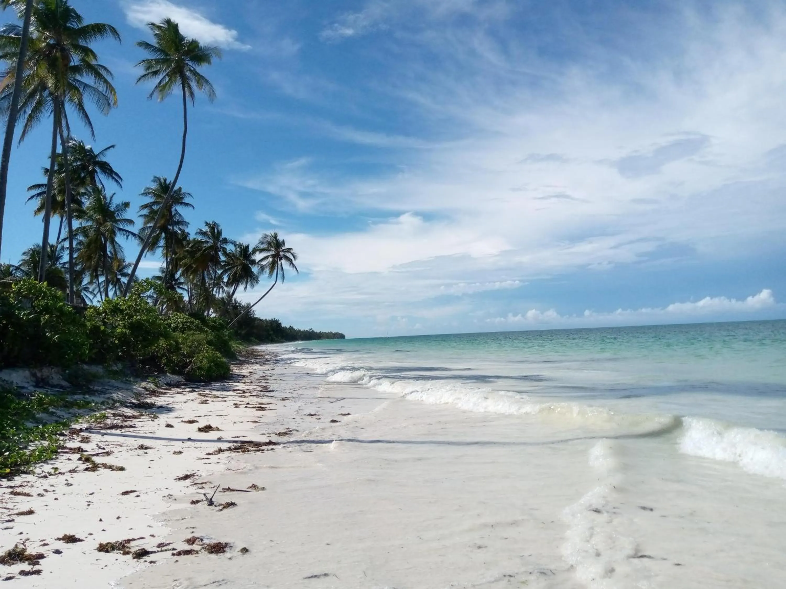 View (from property/room) in Kijani Beach Villas