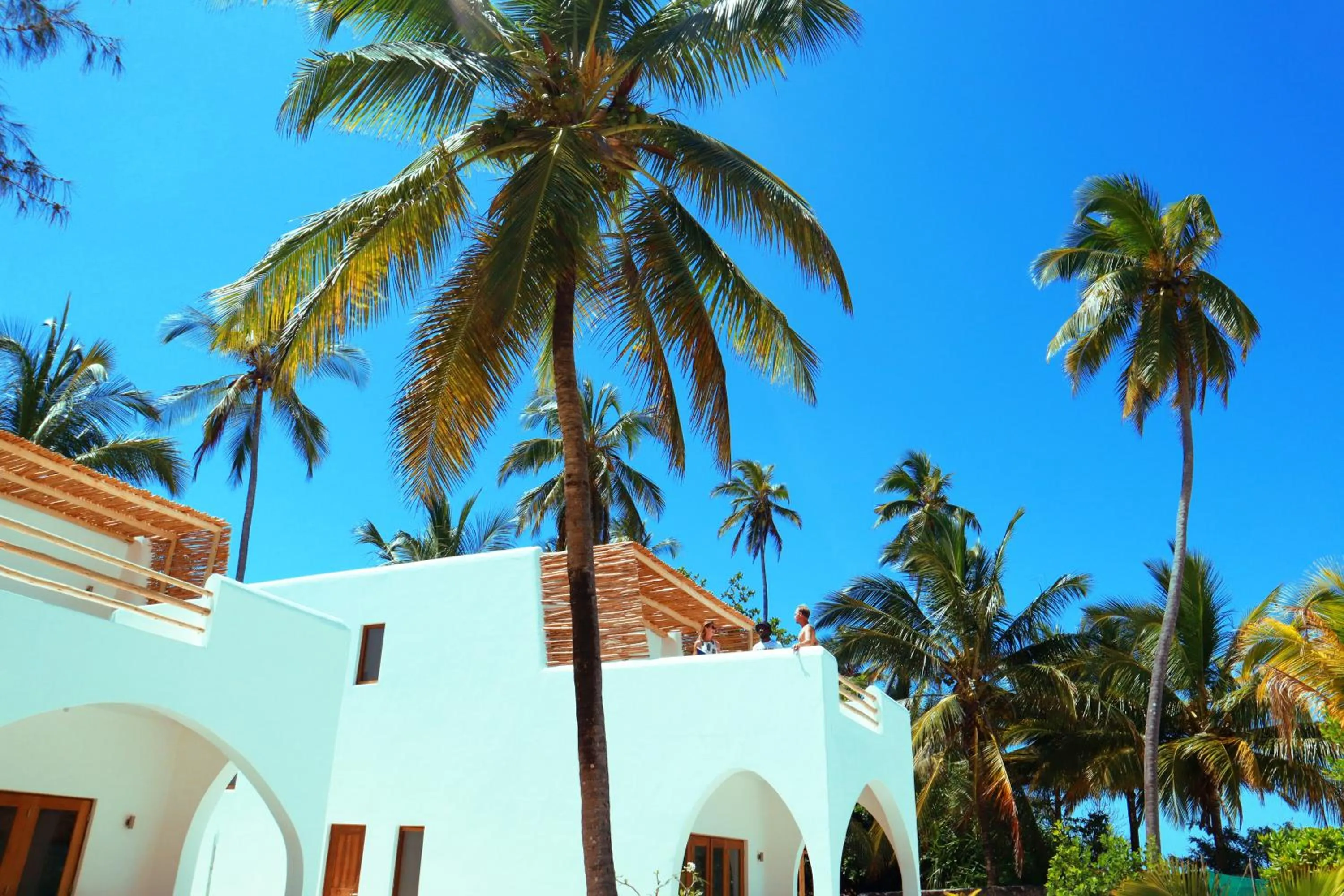 Garden in Kijani Beach Villas