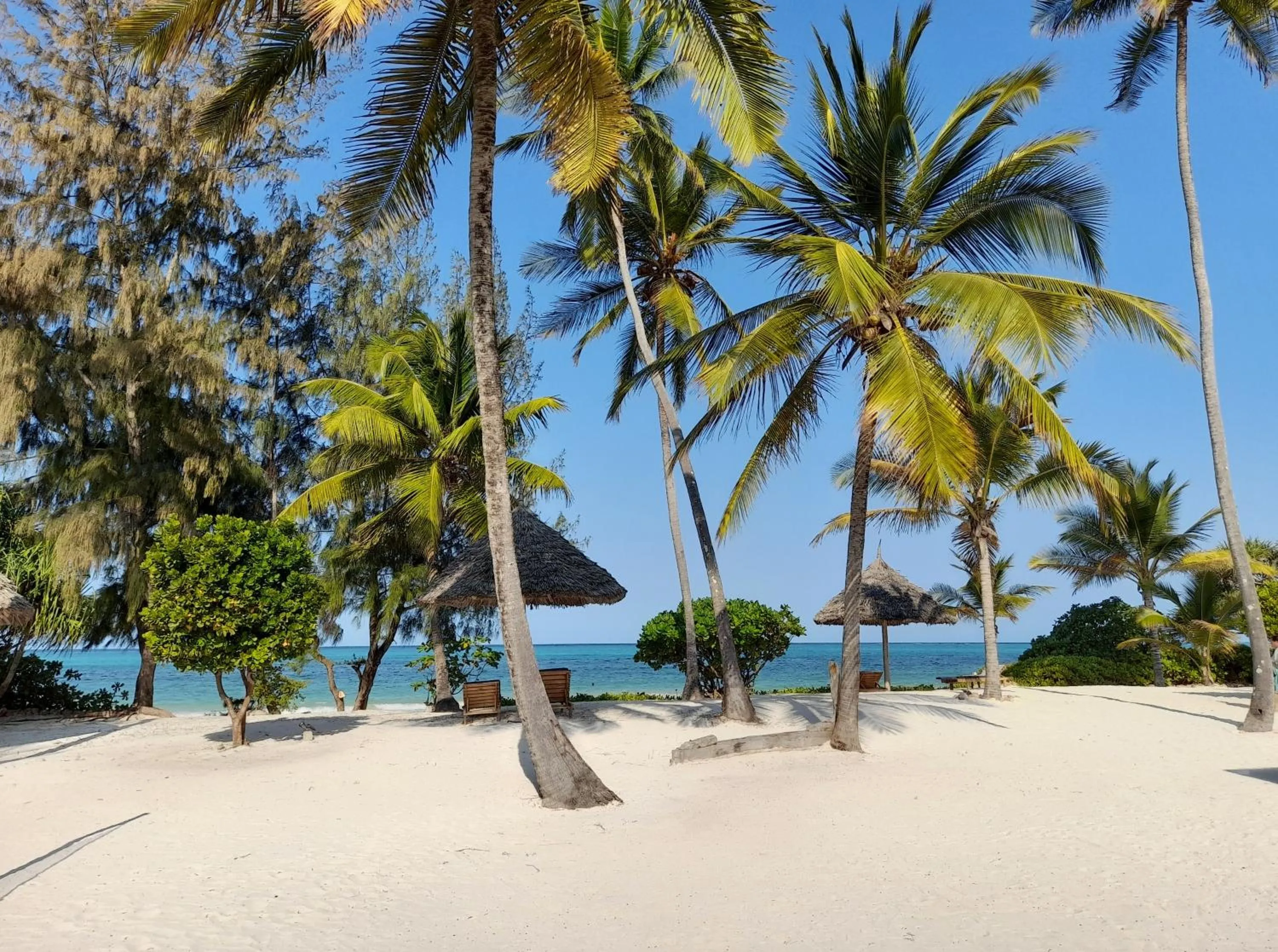 Beach in Kijani Beach Villas