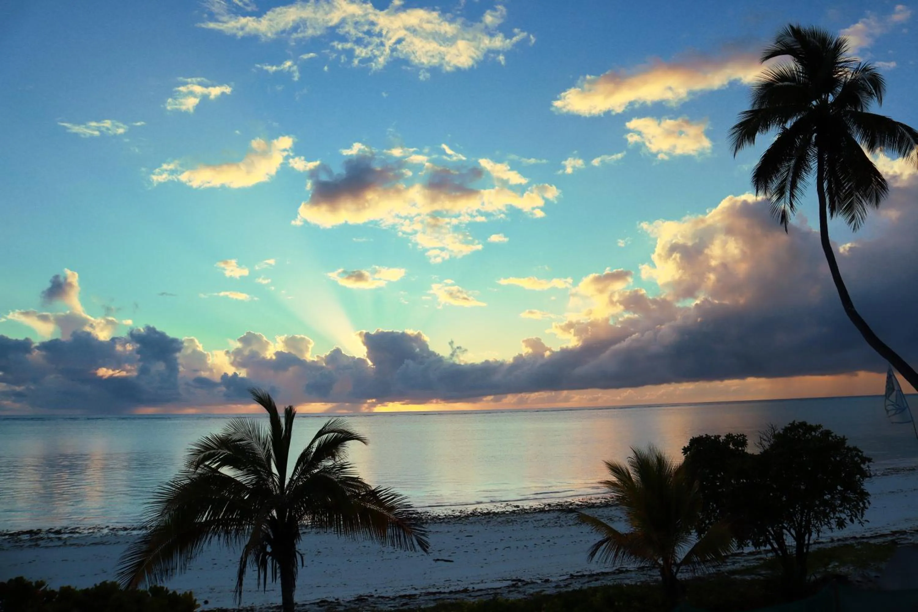 Natural landscape in Kijani Beach Villas
