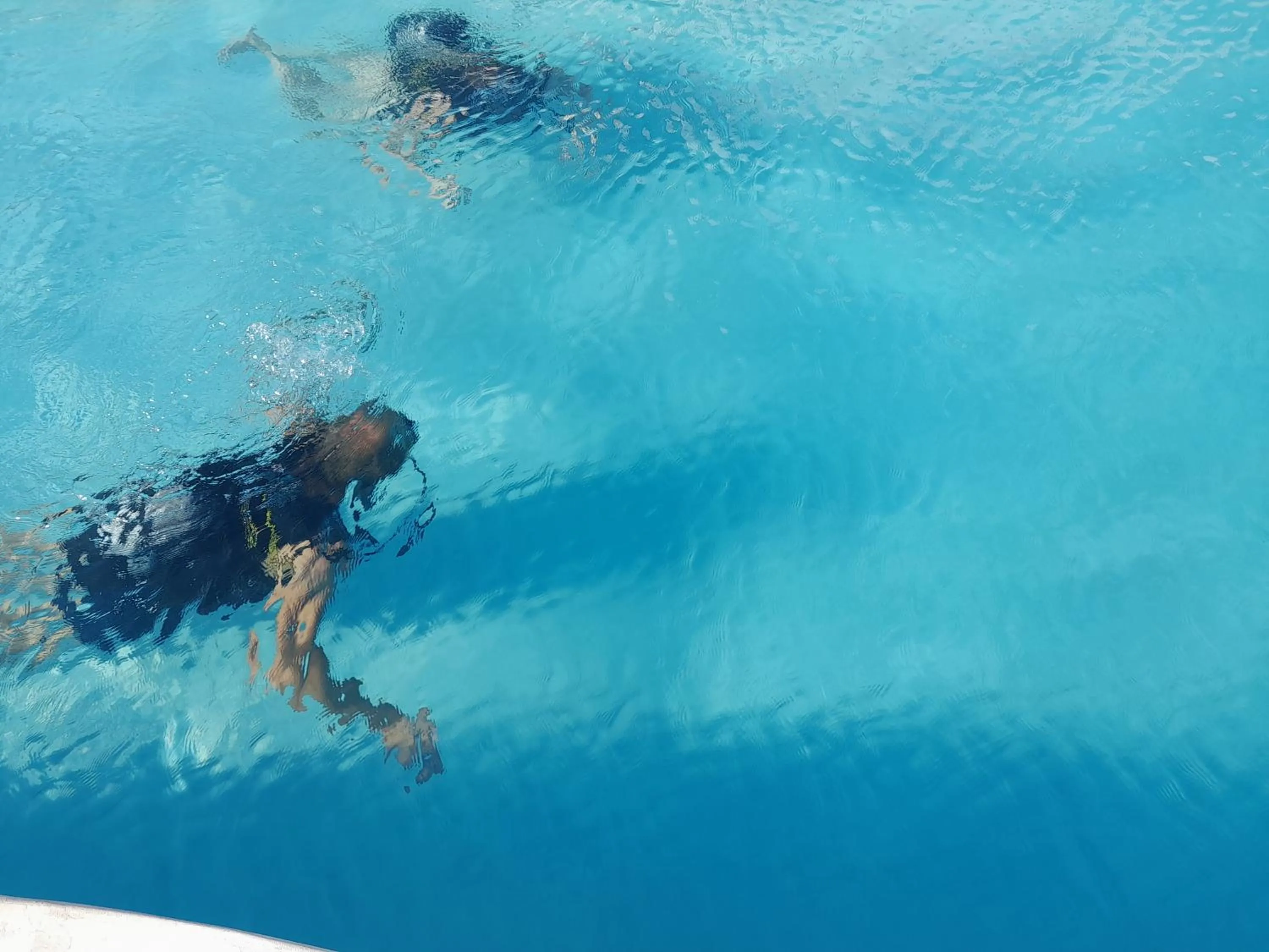 Activities in Kijani Beach Villas